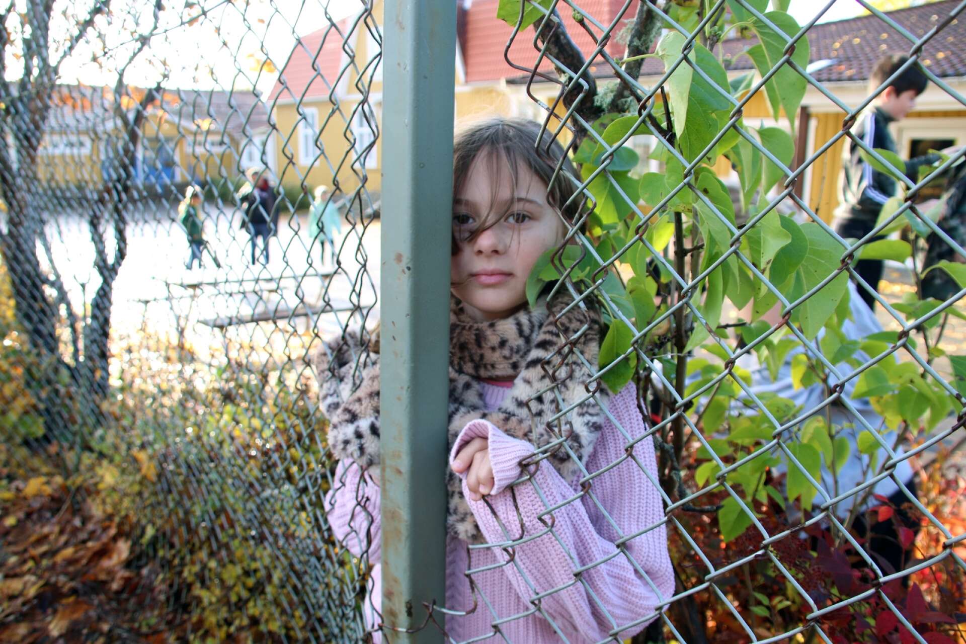 Årskurs fyra på Bruksskolan i Ödeborg är missnöjda med sin skolgård. Elin Andersson visar ett stort hål i ett staket.
