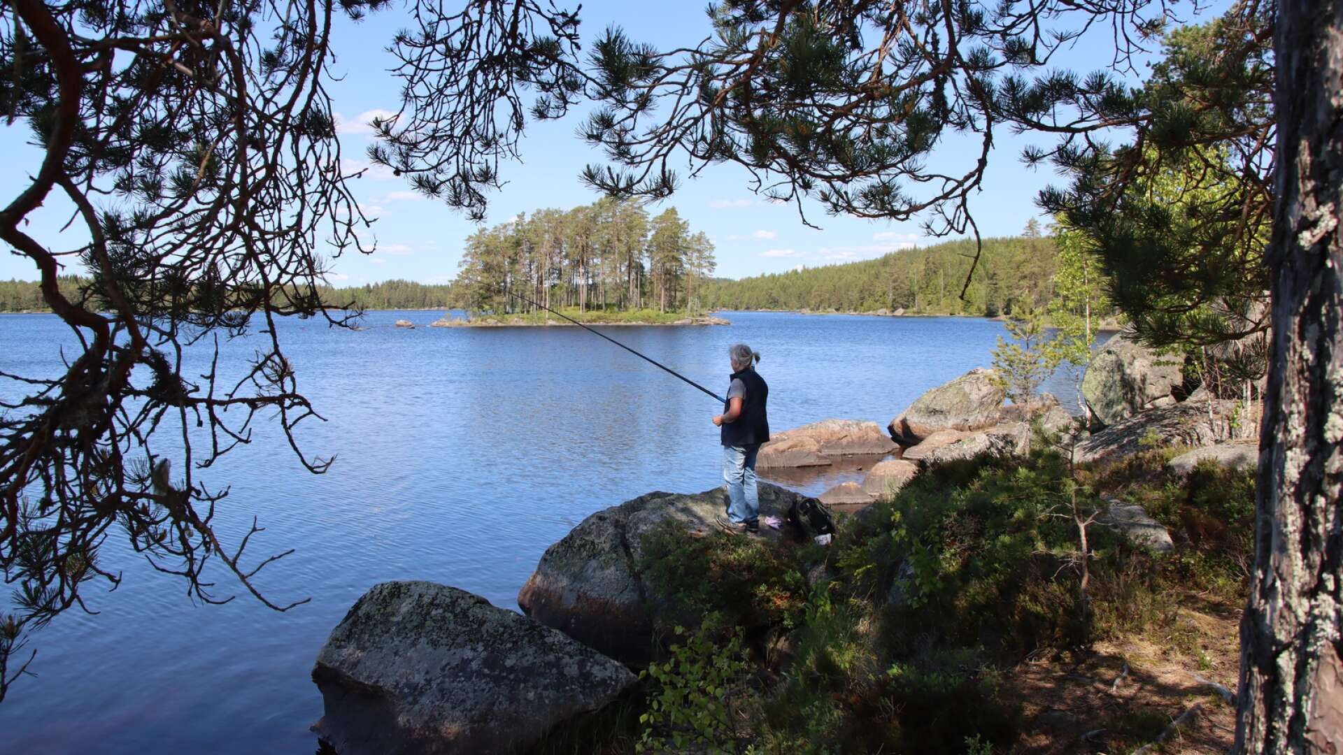 Vid Fribosjön hade Anneli Adolphzon hittat en riktigt bra fiskeplats. 