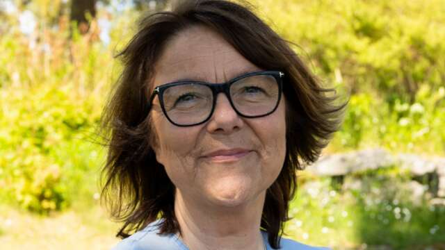 Anna-Lena Carlsson, ordförande för Centerpartiet i Värmland, tror att partiet behöver få prata mer sakpolitik och mindre vem-tar-vem för att komma igen efter tappet i söndagens val.