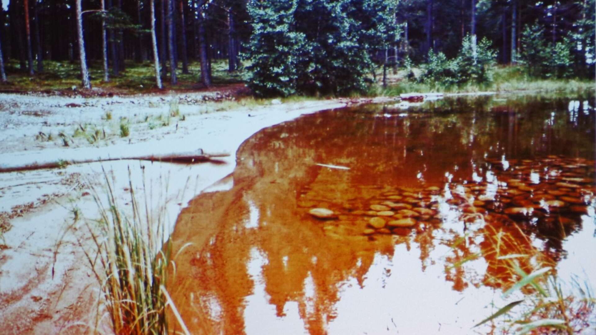 Bild tagen vid Arnäs udde 1970.