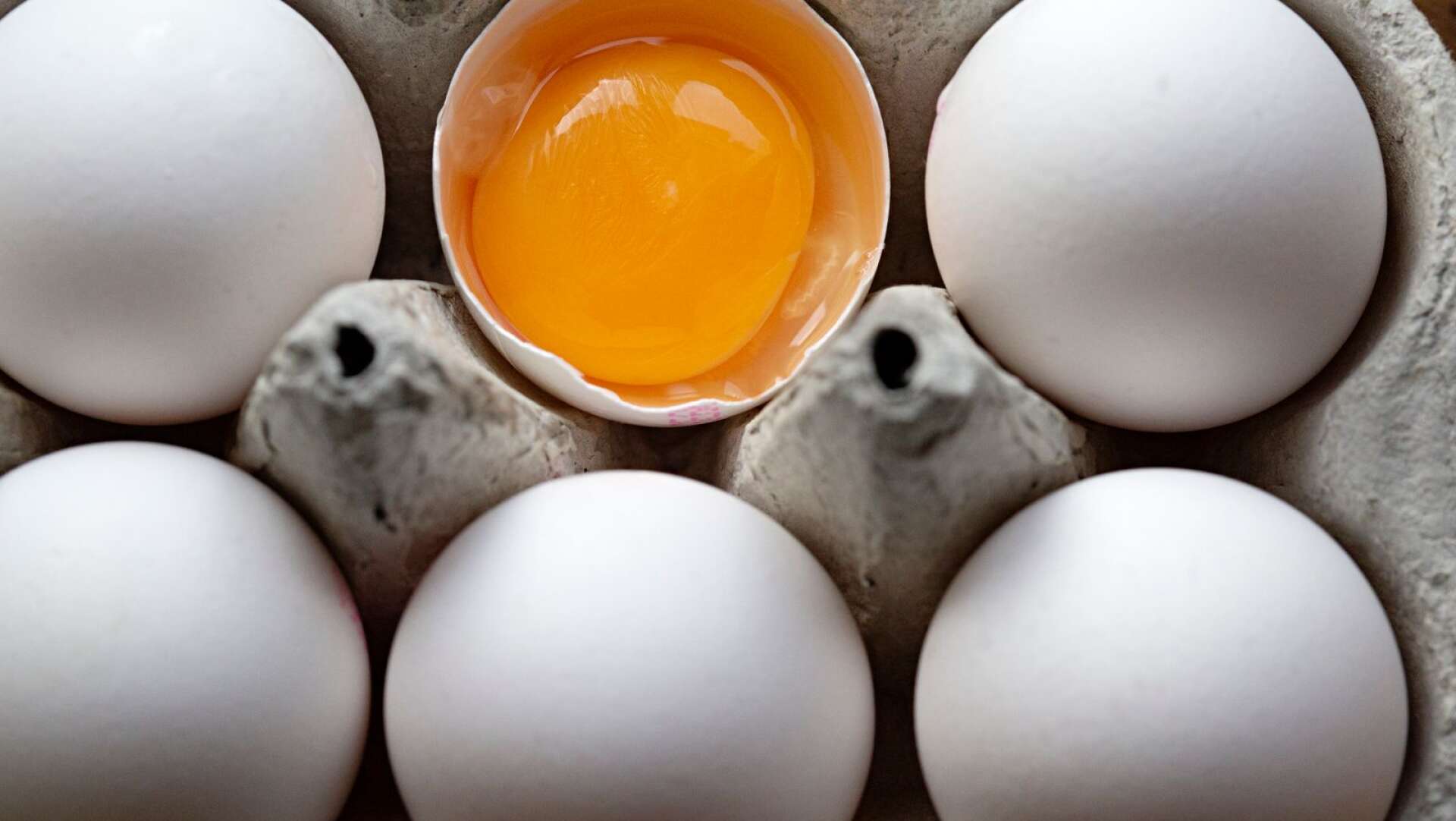 Återkallar ägg med hälsorisker: ”Gör salmonellaprov varje dag”