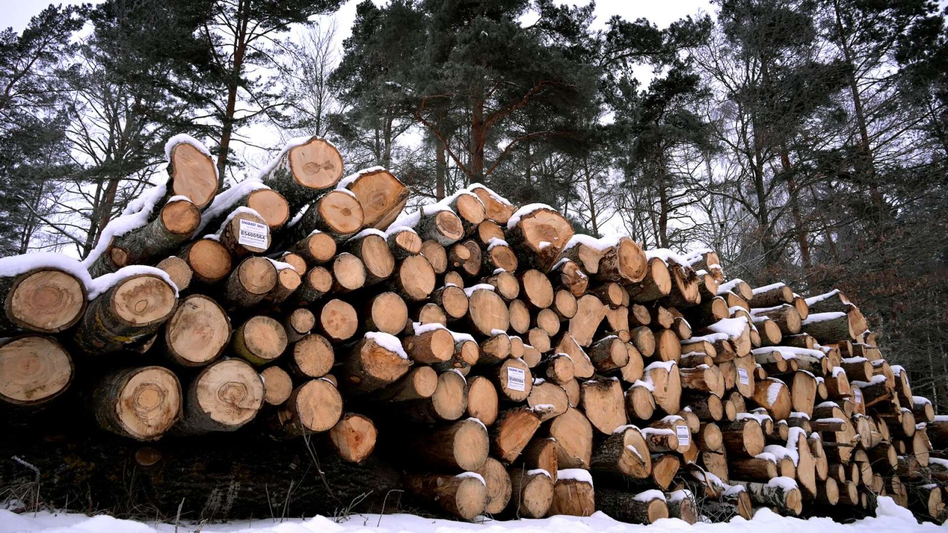 Andelen skog i Västra Götaland som skogsägare frivilligt har avsatt för naturvårdsändamål ökar