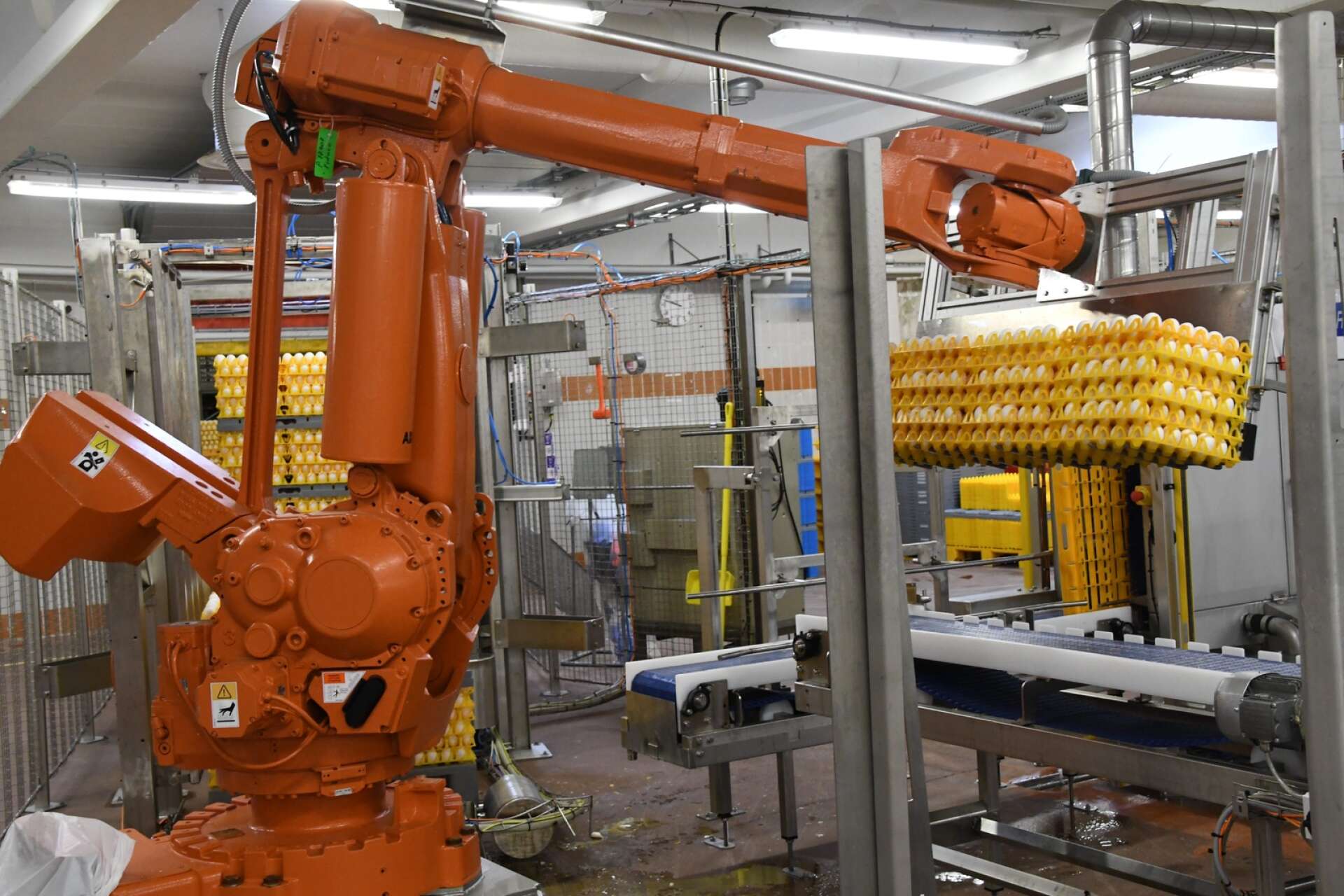 En robot i arbete på Källbergs. Företaget producerar äggpulver från färska ägg. 