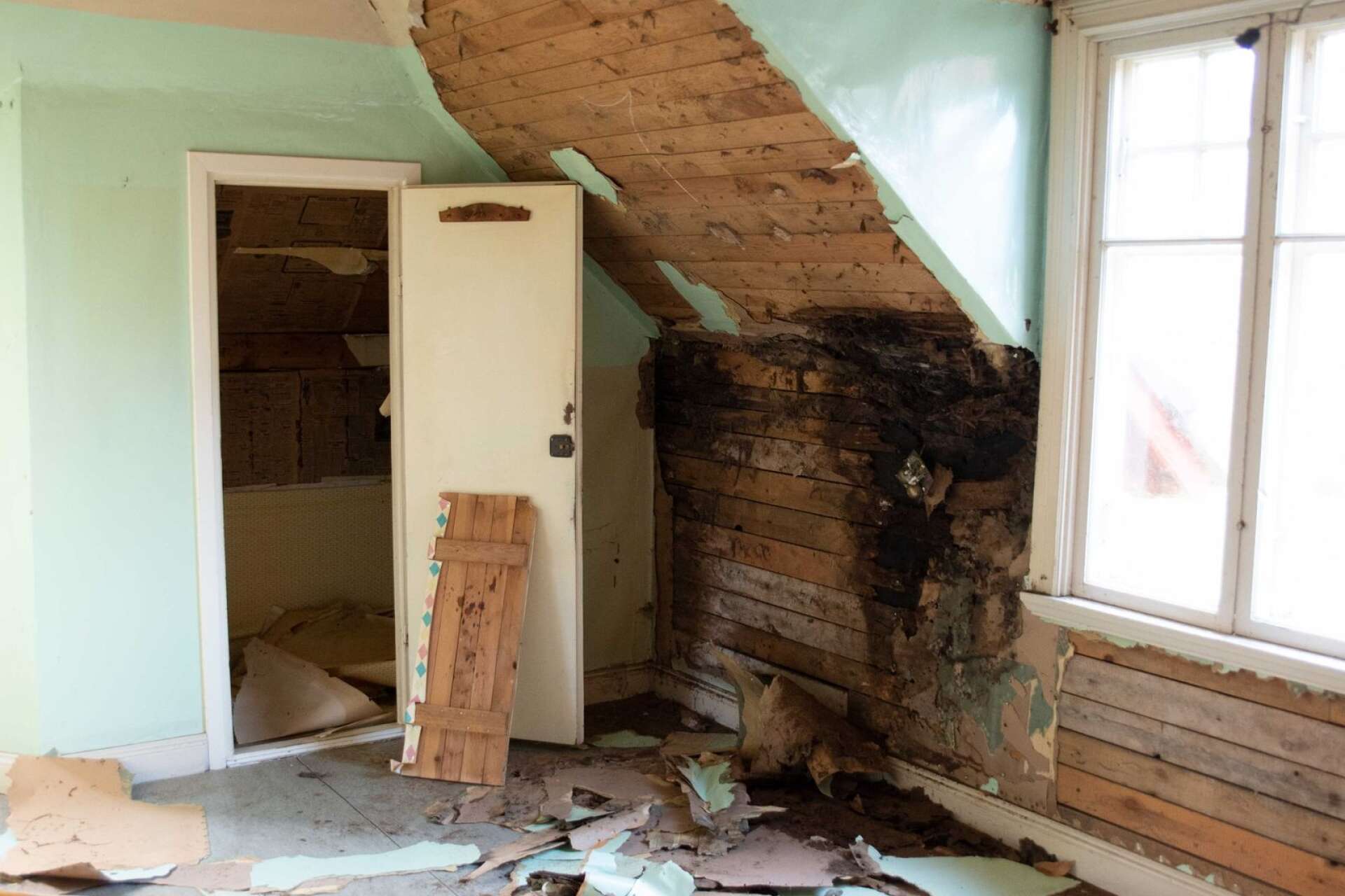 Huset var fuktskadat på flera ställen och köket var angripet av svamp.
