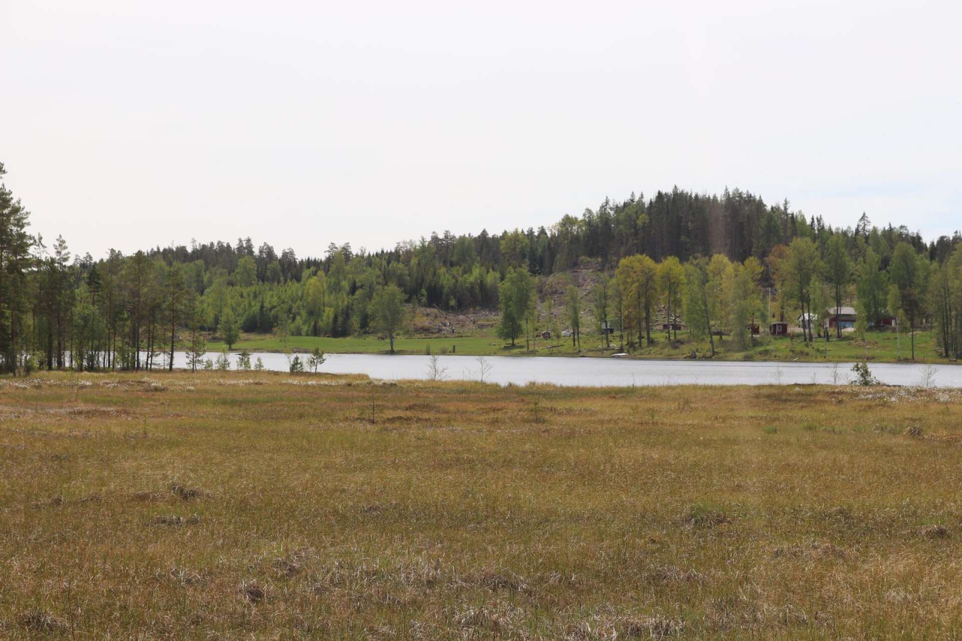 På andra sidan sjön ligger gården omringad av hästhagar, skog och berg. På vintrarna brukar Fia se varg springa över isen. 