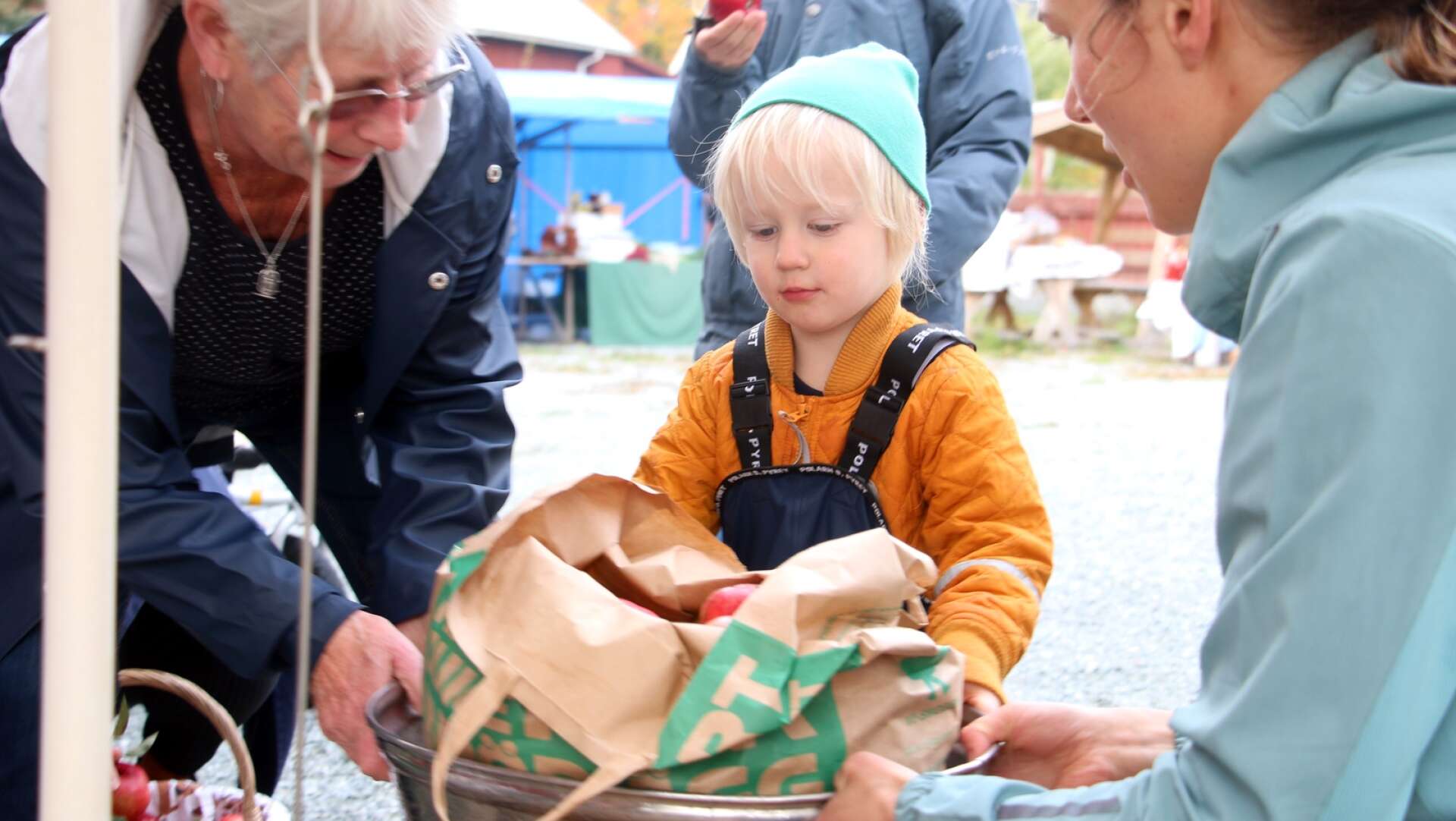 Äpplets dag i Dals Långed. Sune Håkansson-Båld hjälper Josha Woudstra och mormor Kerstin Båld att väga äpplen.