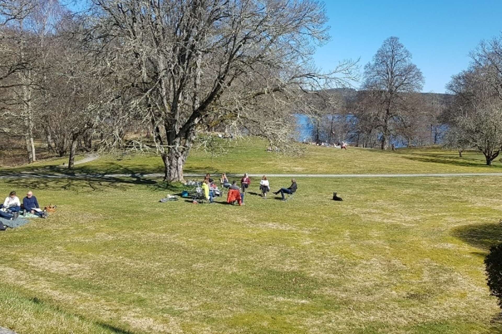 Att sitta utspritt den stora parken och ha picknick har varit populärt i coronatider.