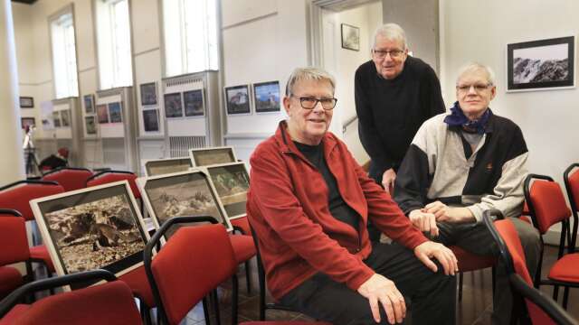 Peter Bernerfalk, Bengt-Åke Öhgren och Jan Fleischmann är de tre naturfotograferna som just nu är aktuella i Tingssalen.
