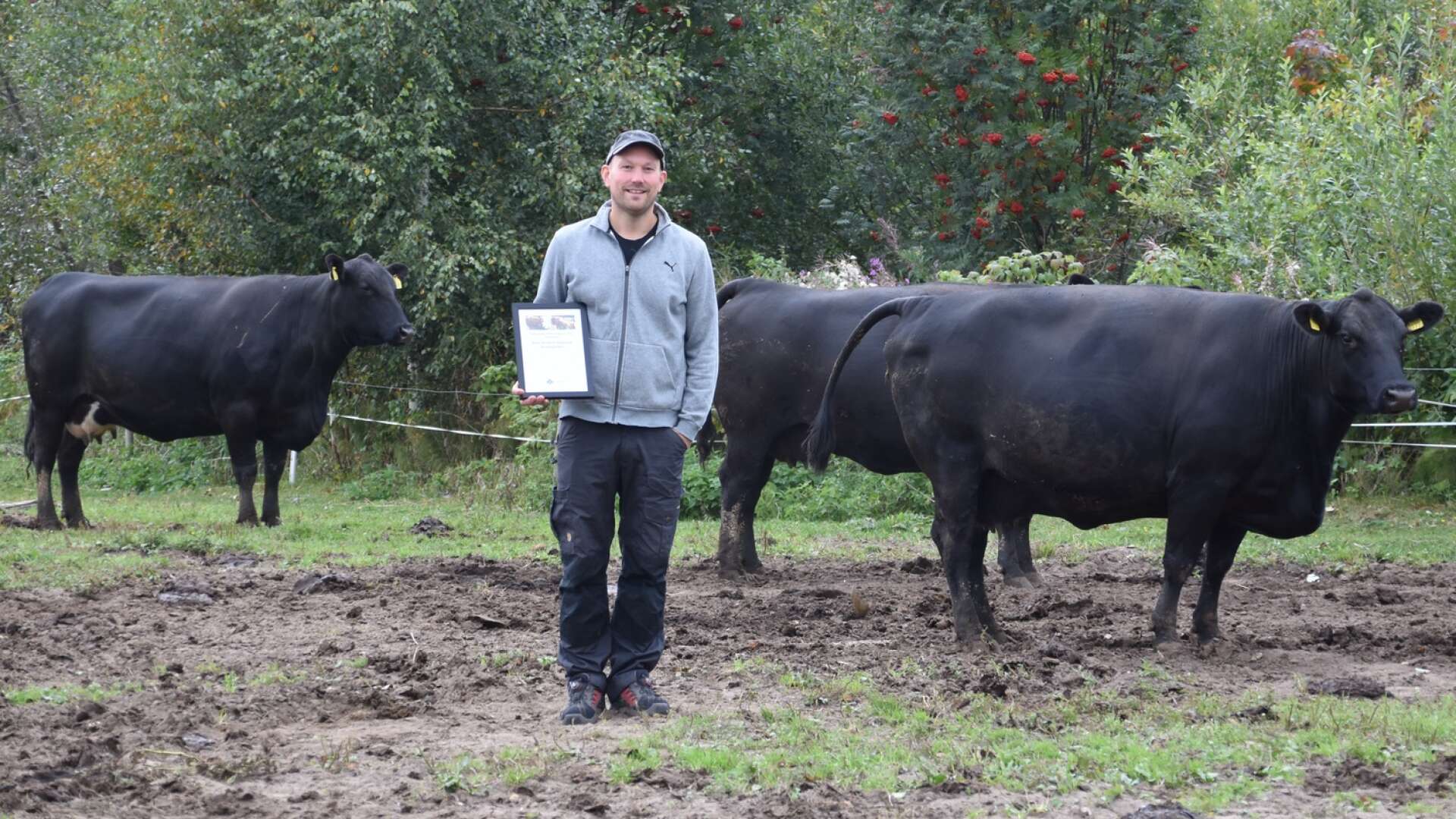 Åmotforsbon utsedd till årets nötköttsföretagare i Värmland