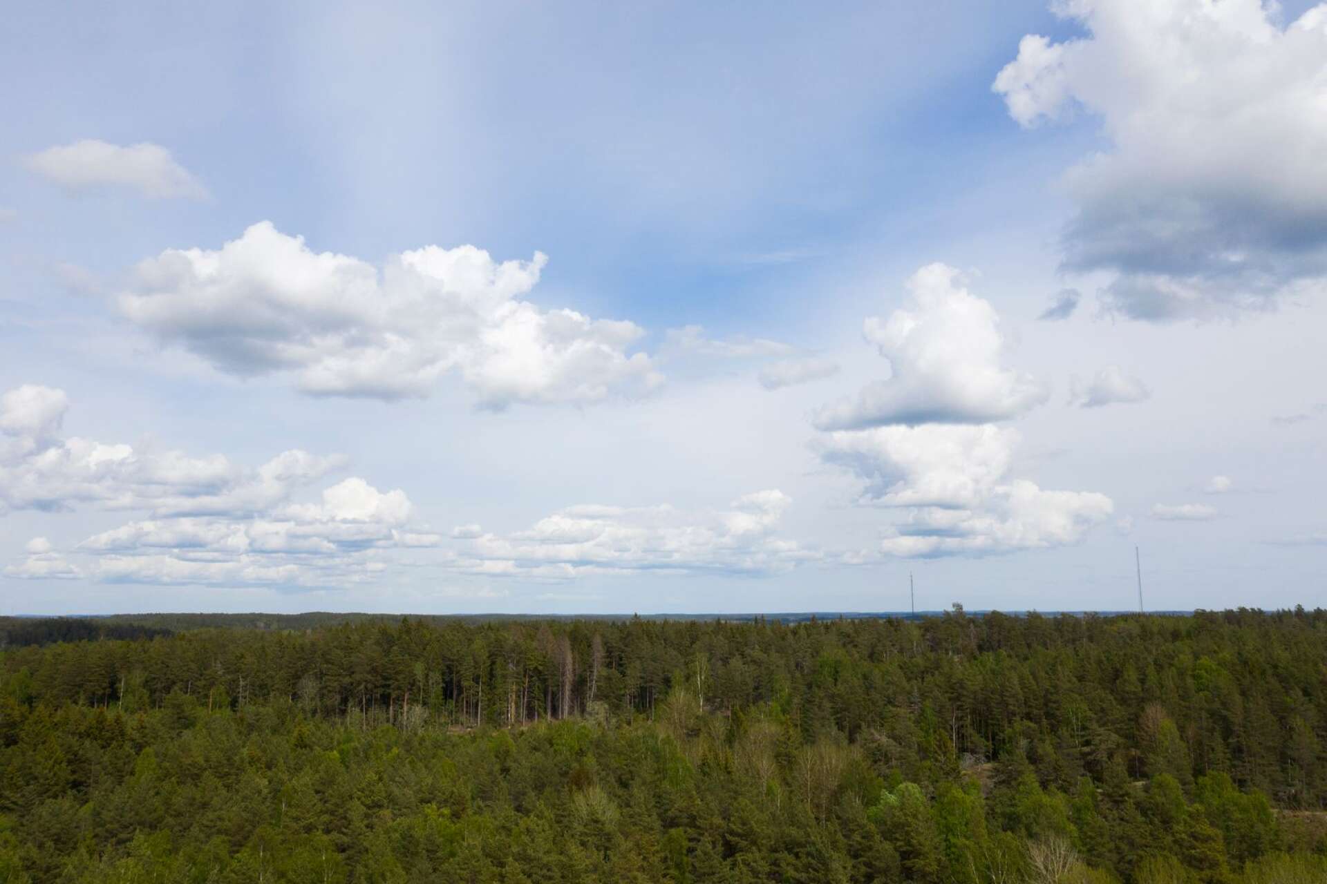 De bortser ifrån att de svenska skogarna fördubblats de senaste hundra åren och bundit koldioxid – gratis – under denna tid, skriver Charlie Weimers.
