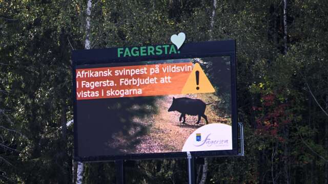 Skylt uppsatt av Fagersta kommun med texten &quot;Afrikansk svinpest på vildsvin i Fagersta”.