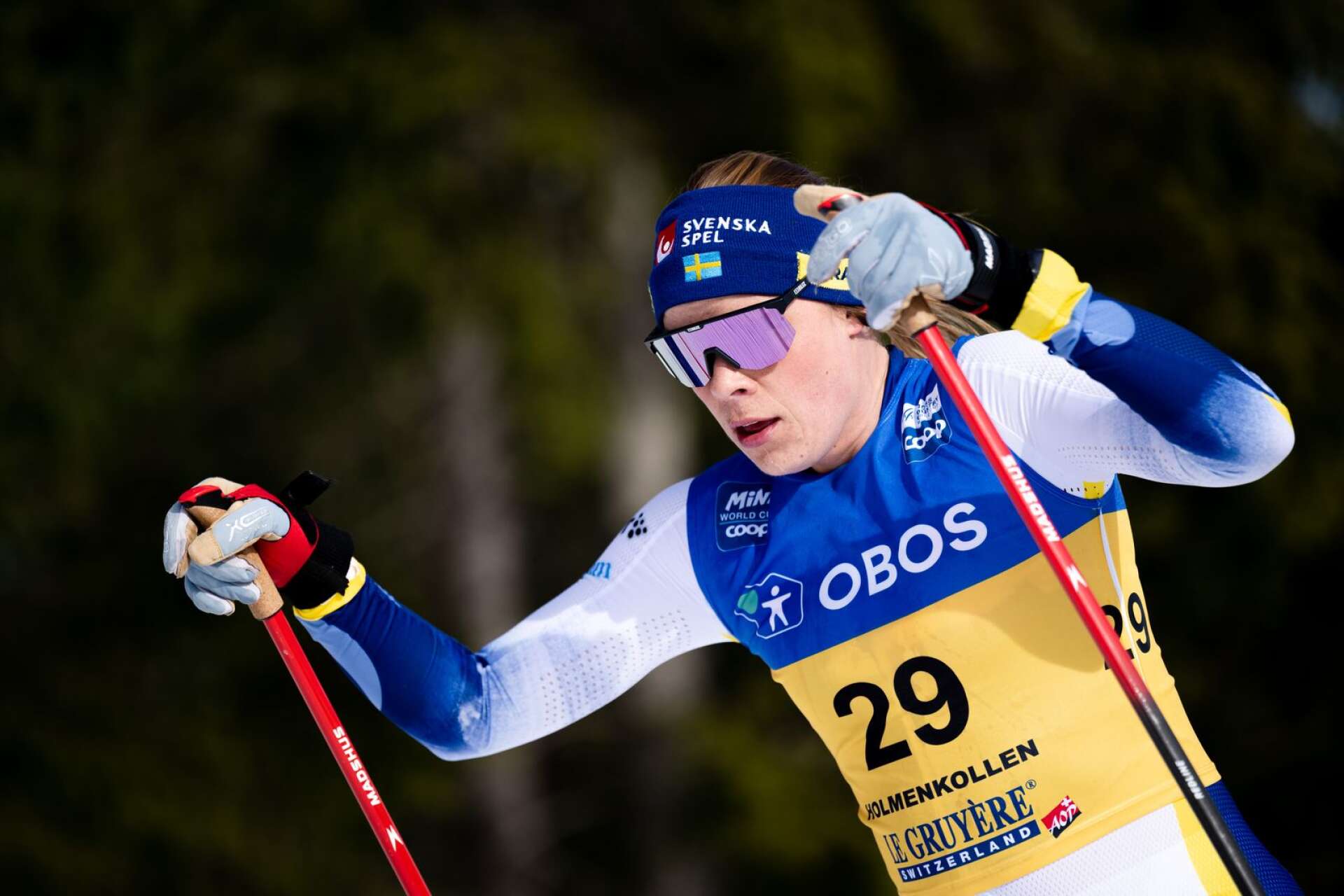 Den 12 mars tävlade Lovisa Modig för det svenska landslaget på den historiska världscupfemmilen i Holmenkollen.
