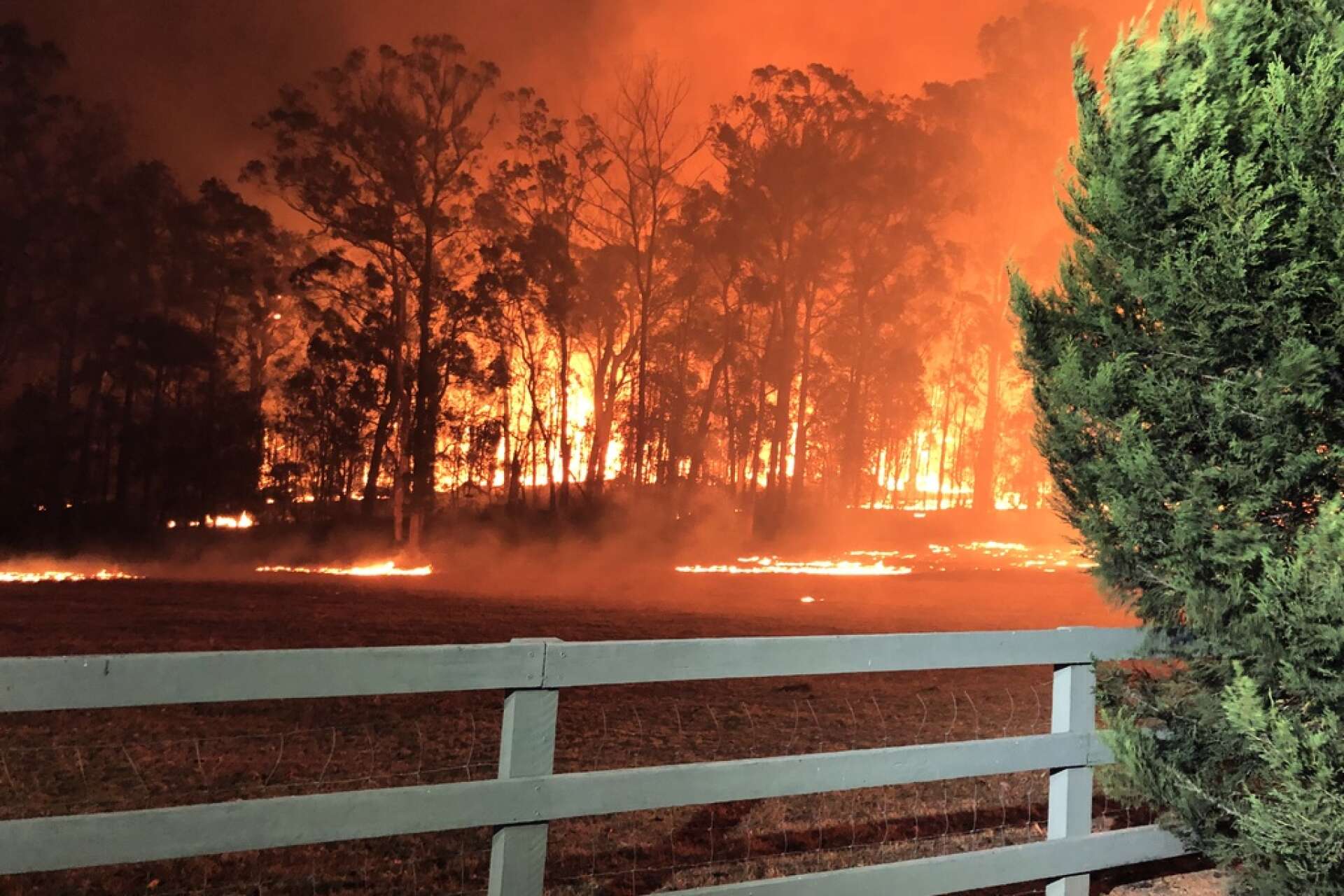 Omkring 2 000 brandmän och frivilliga kämpar mot fler än 100 bränder i New South Wales.