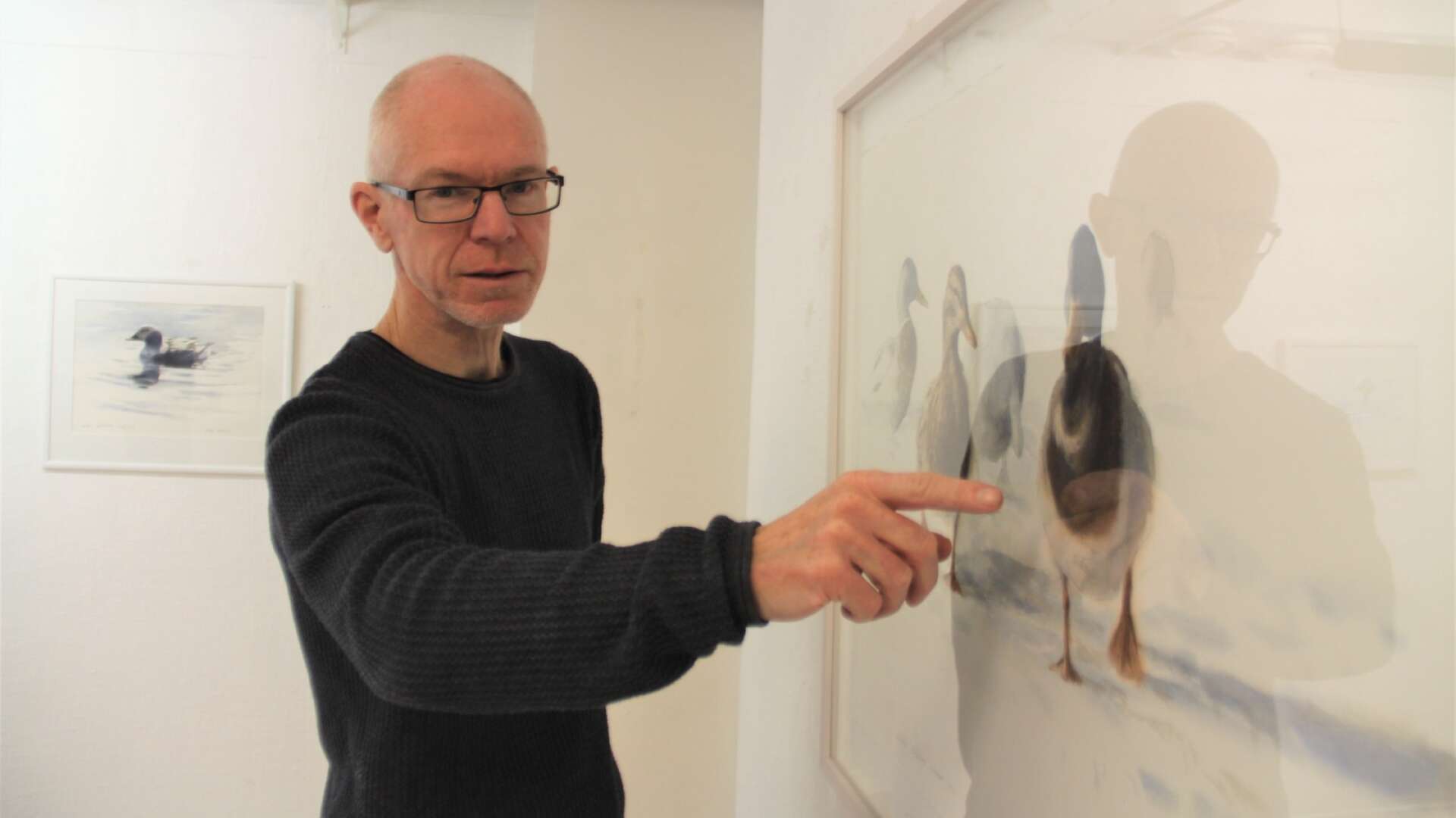 Morgan Johansson är en av Värmlands mest flitigt utställande akvarellister. På lördag öppnar hans utställning i Galleri 2, som har särskild fokus på hans mest återkommande motiv - fåglar.