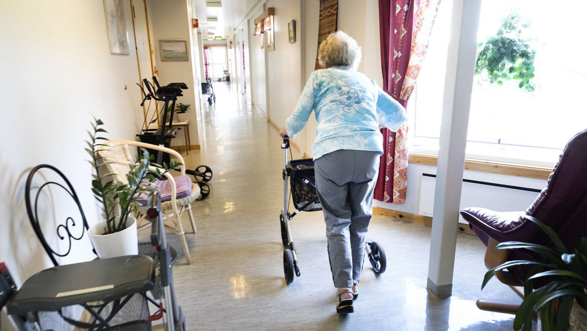 Kommunal kräver att Regeringen omedelbart tillsätter en kriskommission för att rädda svensk äldreomsorg. 