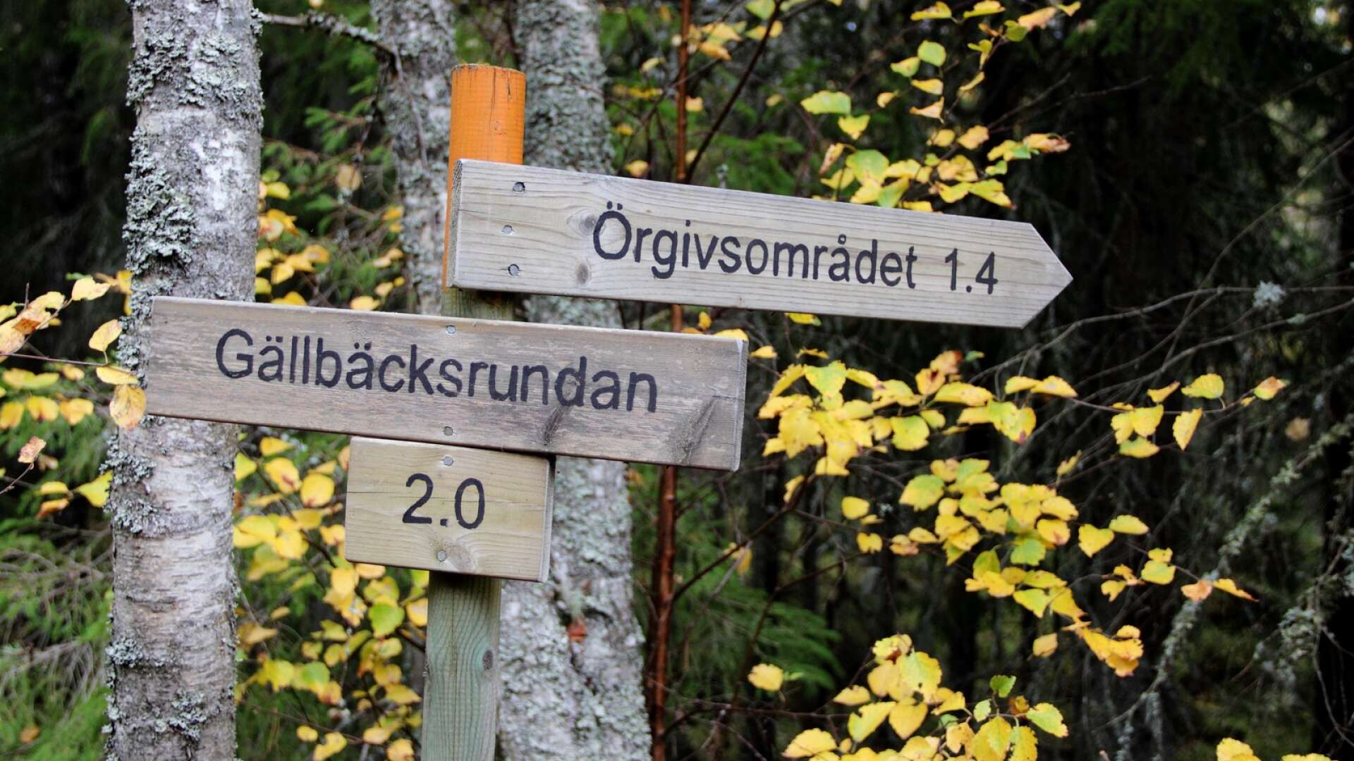 Örebro län får en höjning av medel för skyddad natur med cirka 60 procent.