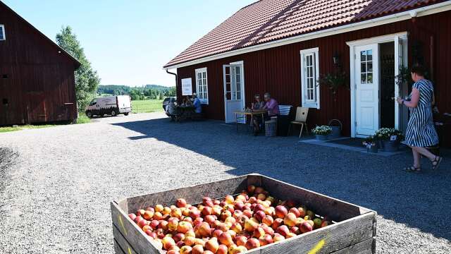 Mat- och vingården Kulinarika på Aplungen, det senaste stora tillskottet i Västra Ämterviks besöksnäring.