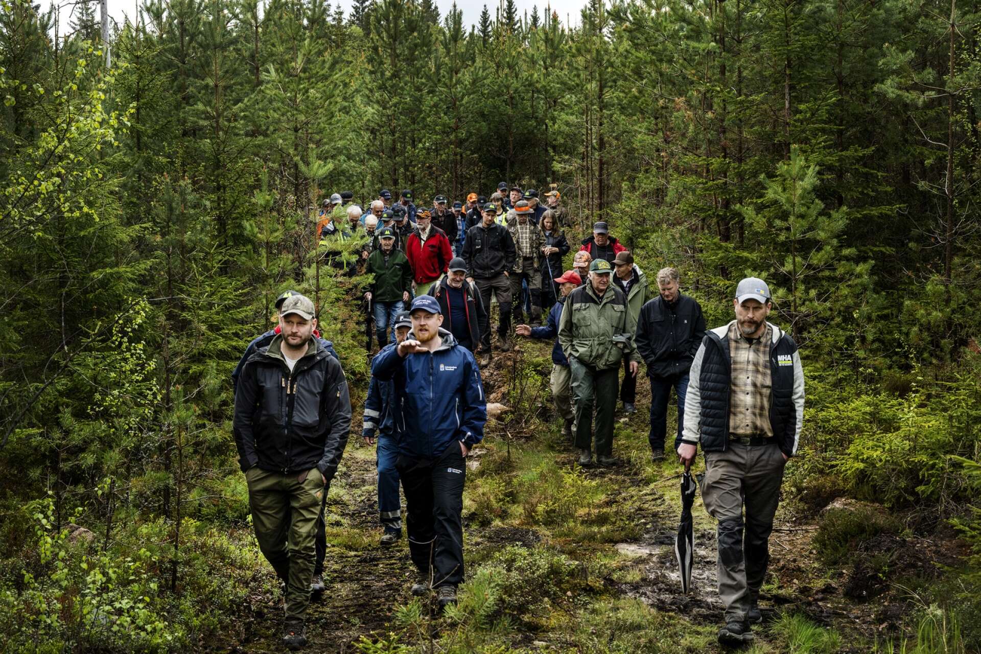 ”Jag skulle gissa på att vi har mellan 20 och 30 björnar”, säger vilthandläggare David Höök, här andra person från vänster i bild vid en temadag om skog och vilt i Västra Ämtervik i försomras.