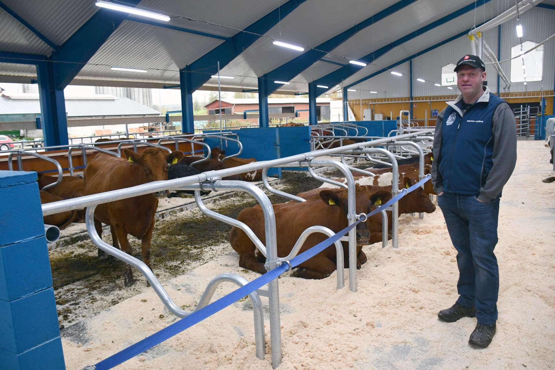 &quot;Den ny robotladugården har bredare gångar, bra madrasser och mer utrymme för varje ko, berättar Anders Bengtsson.