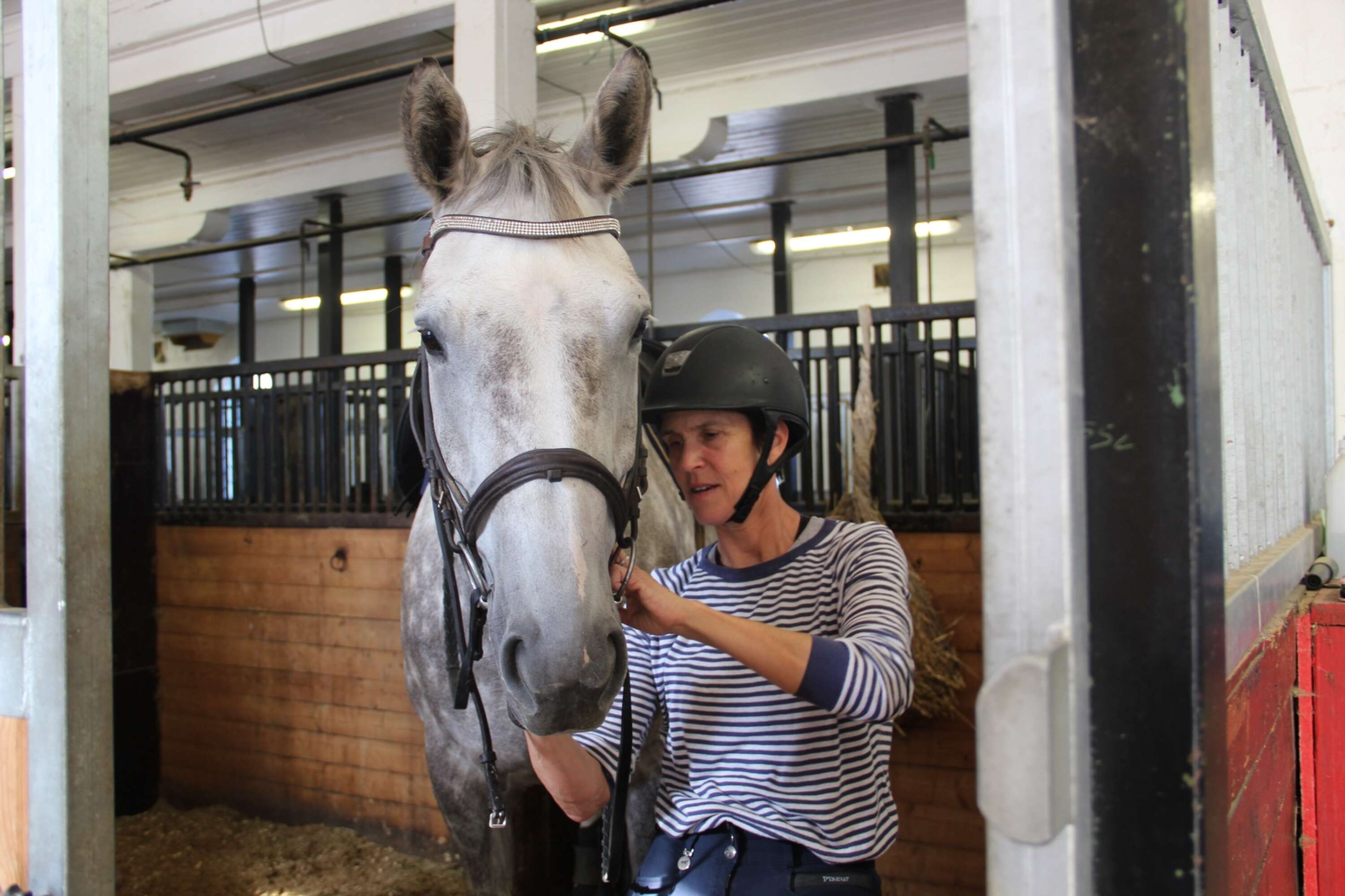 Petra Nielsen tränsar hästen Zeus.
