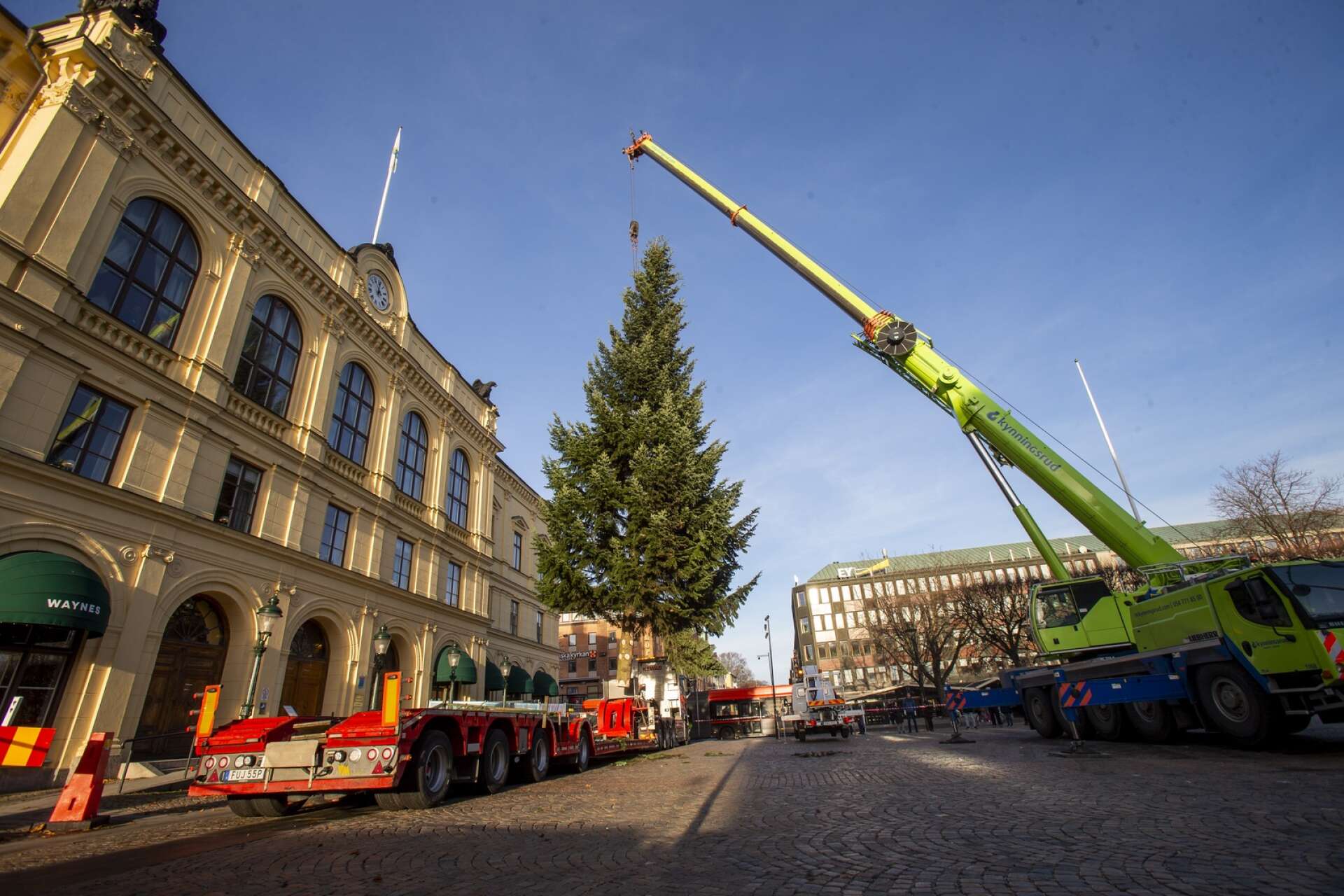 Fjolårets julgran hämtades från Kanikenäsbanken intill gamla Café August innan den transporterades till Stora torget.