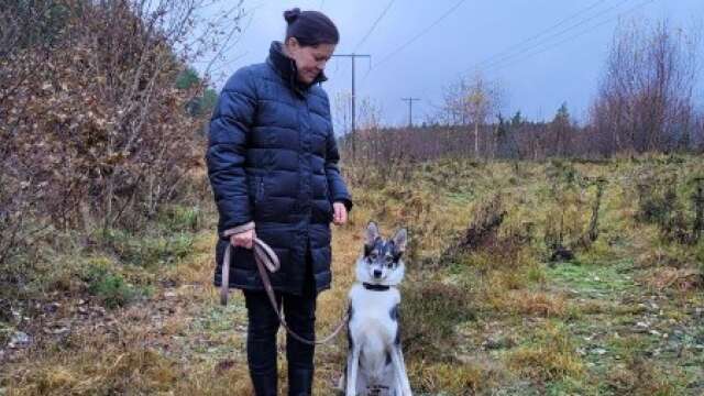 Alexandra Friman, som föreslagit en hundrastgård i Gullspång, med hunden Laika. 