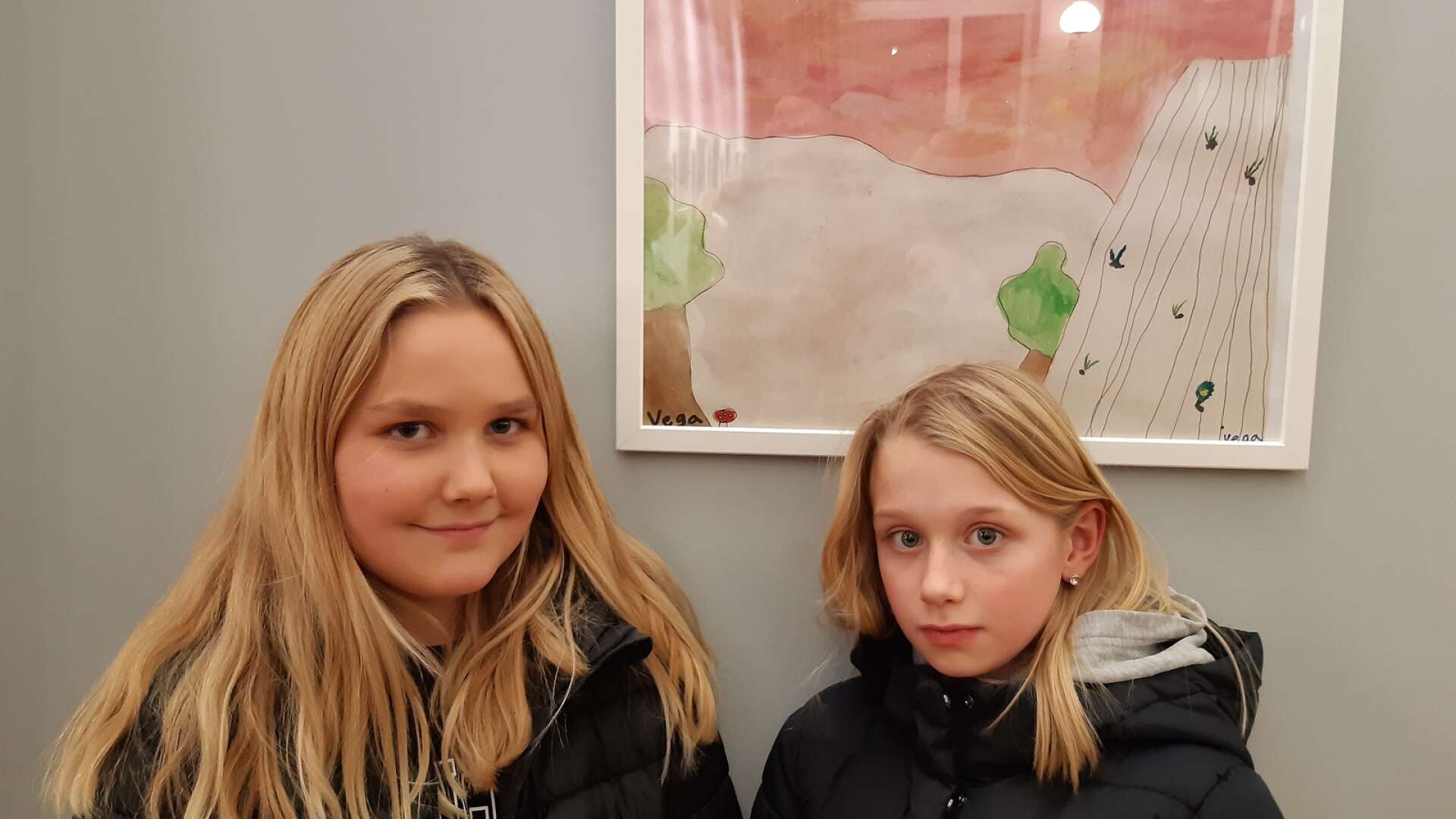 I fjol arrangerades den allra första målartävlingen i Hällefors för barn i åldrarna 4-15 år. Bland annat så deltog Klockarhagsskolans elever i det kreativa projektet. Det blev så pass uppskattat, så nu arrangeras tävlingen för andra gången och tisdagen den 28 november vankas det vernissage på Terrassen på Hällefors bibliotek. 