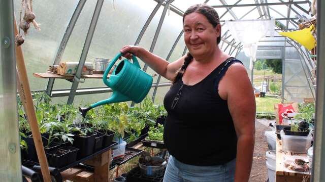 ”Jag känner mig rik och fri när jag odlar”, säger Gabriela som älskar att vara i sitt växthus. Hon odlar såväl det svenska kulturarvet som de mexikanska grödor som utgör basen i hennes matlagning.