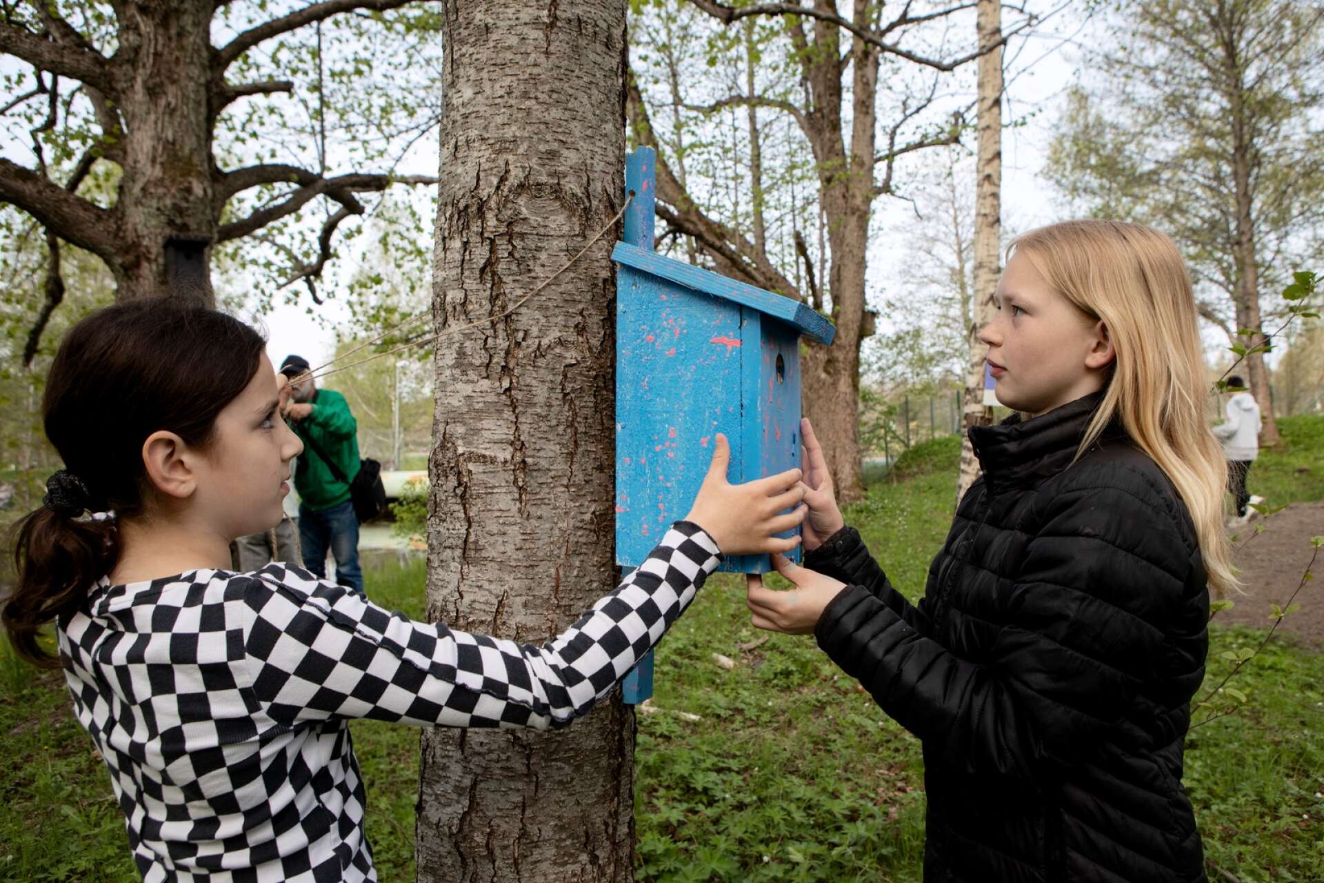 Mia Miteva och Milla Thermell sätter upp en fågelholk
