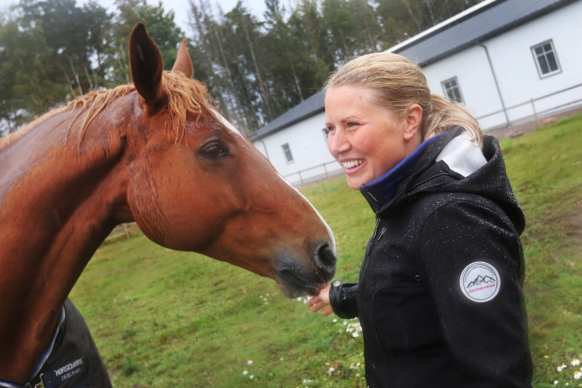 Moholmsbon Amanda Staam omger sig med hästar så gott som dygnet runt. Här är det hennes egen uppfödning Corpoubet som mumsar i sig ett äpple.