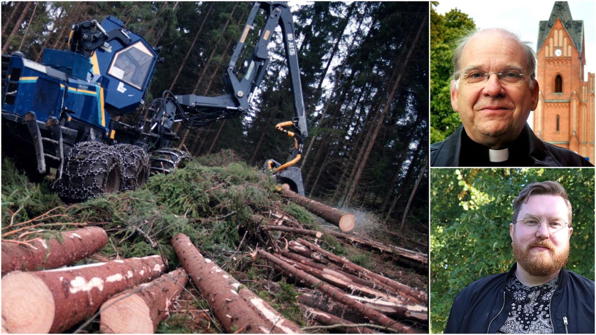 Svenska kyrkans skogsbruk har blivit en viktig valfråga. 