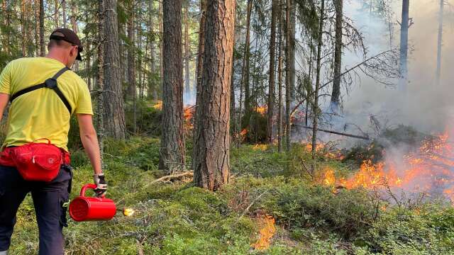 Per Gustafsson från länsstyrelsen i Värmland vid naturvårdsbränningen i Segerstad.