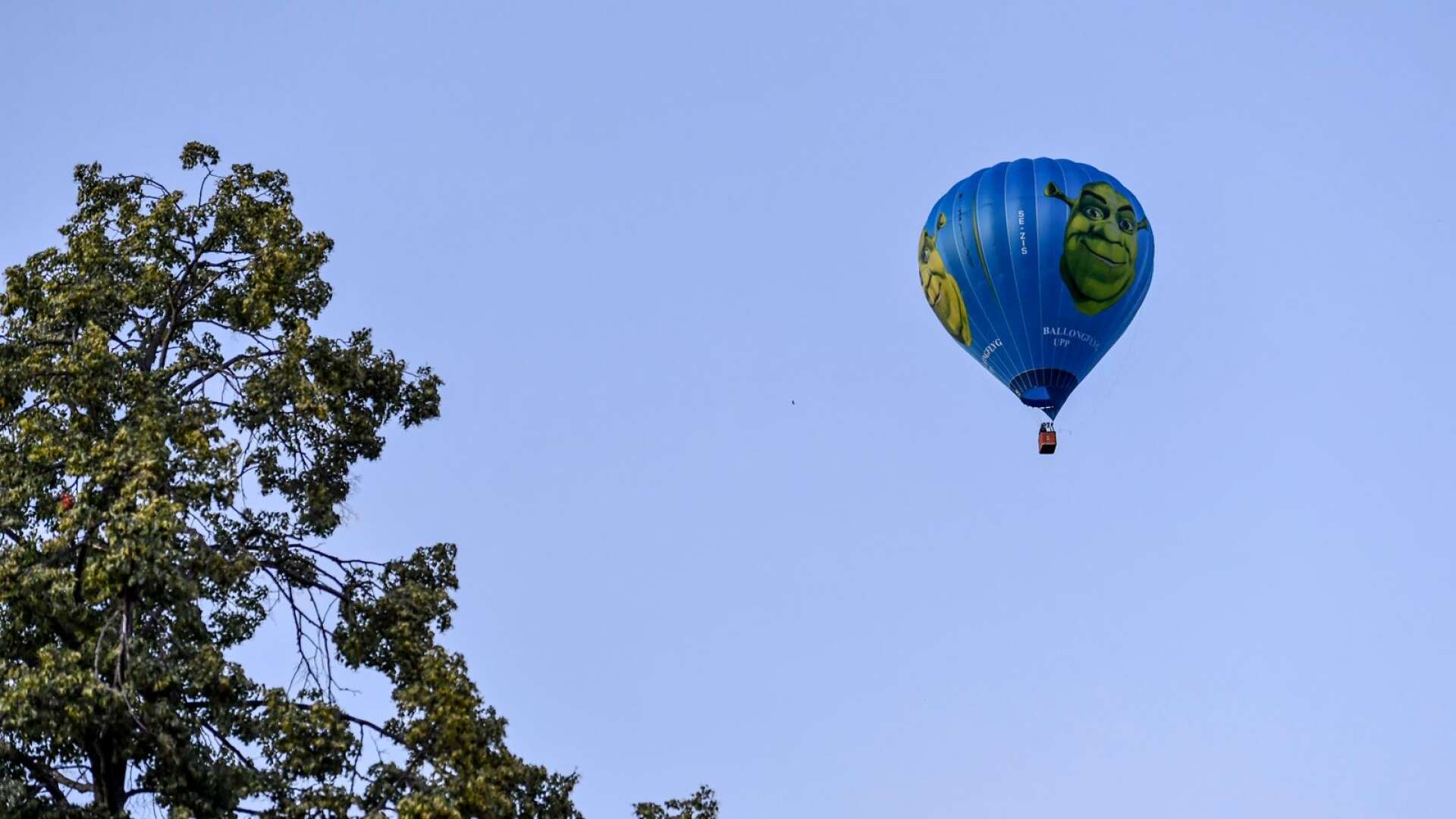 En luftballong flög in på Karlstad flygplats under torsdagen. (Genrebild).