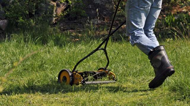 En villaägare i Stodene klippte regelbundet kommunens gräsmatta. Vilket man inte får.