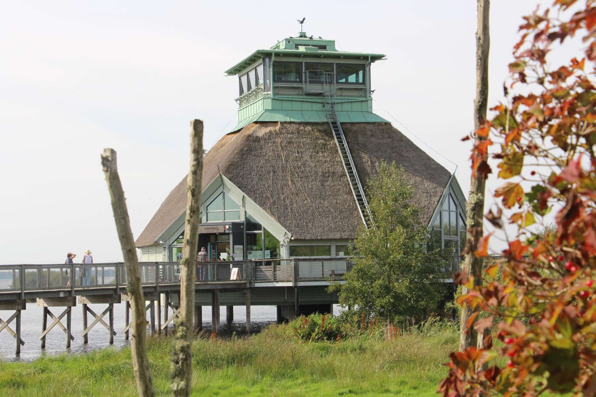 1986 byggdes det som idag är Naturum vid Hornborgasjön.