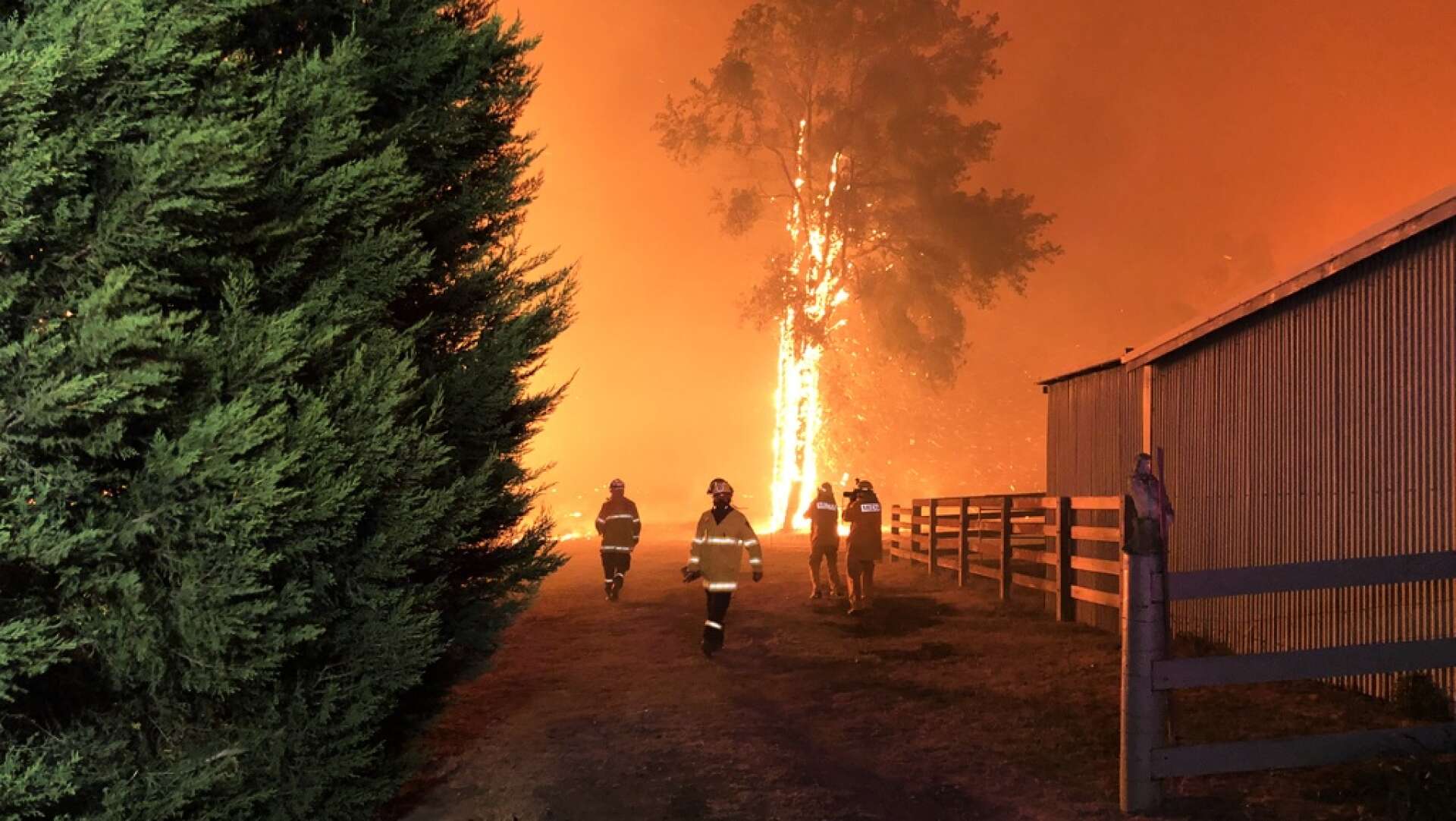 Terrängbränderna i delstaten New South Wales i Australien fortsätter med oförminskad kraft. Bilden kommer från Green Wattle Creek nära Oakdale.