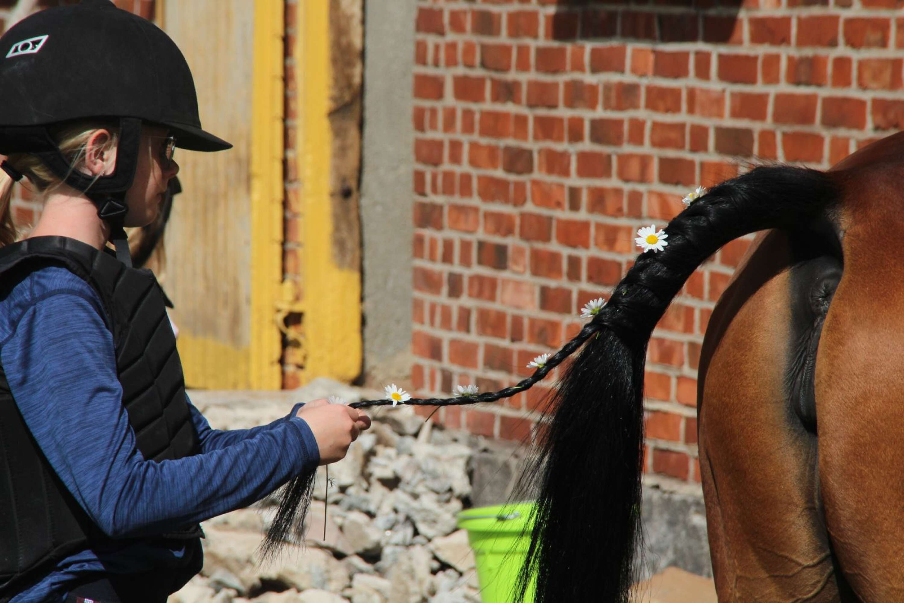Ponnycentrets äldsta häst, 25-åriga Julia fick en ståtligt vacker svans.