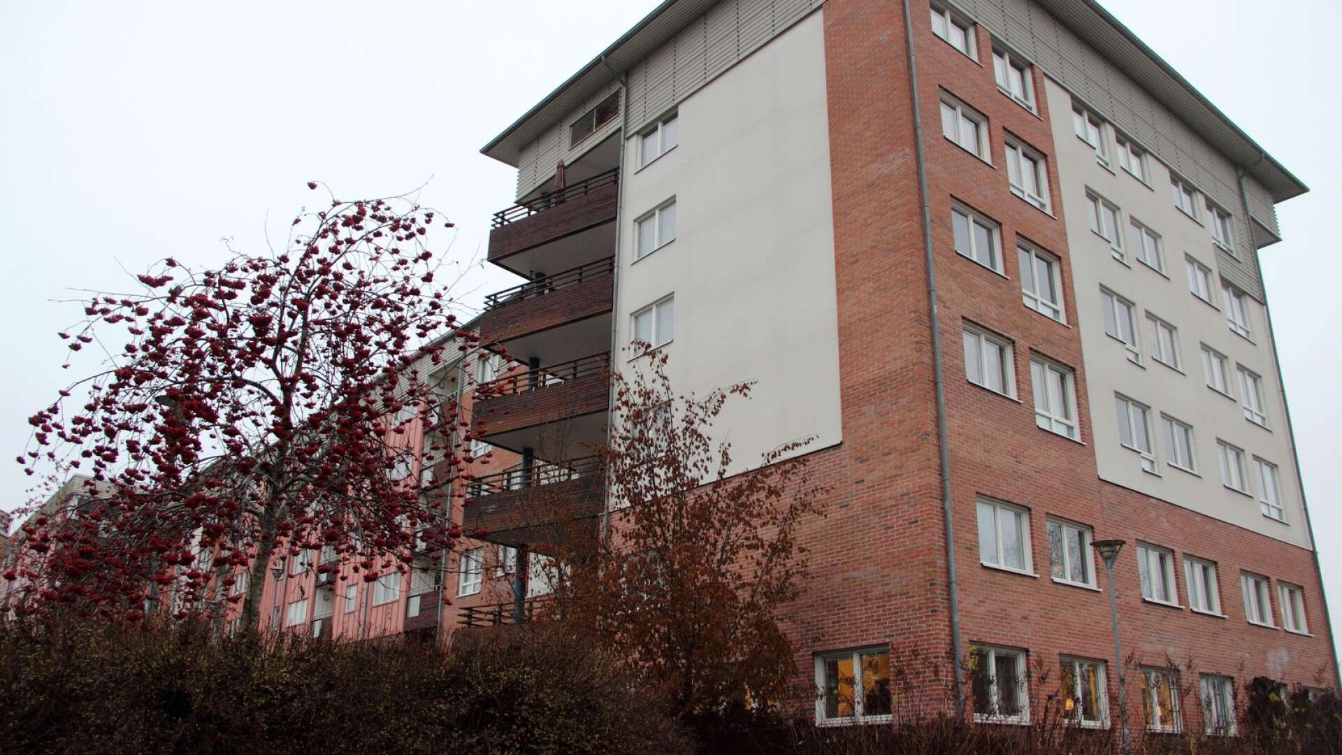 Vänsterpartiet vill ha aktivitetsvärd för såväl Västergården som Letälvsgården.