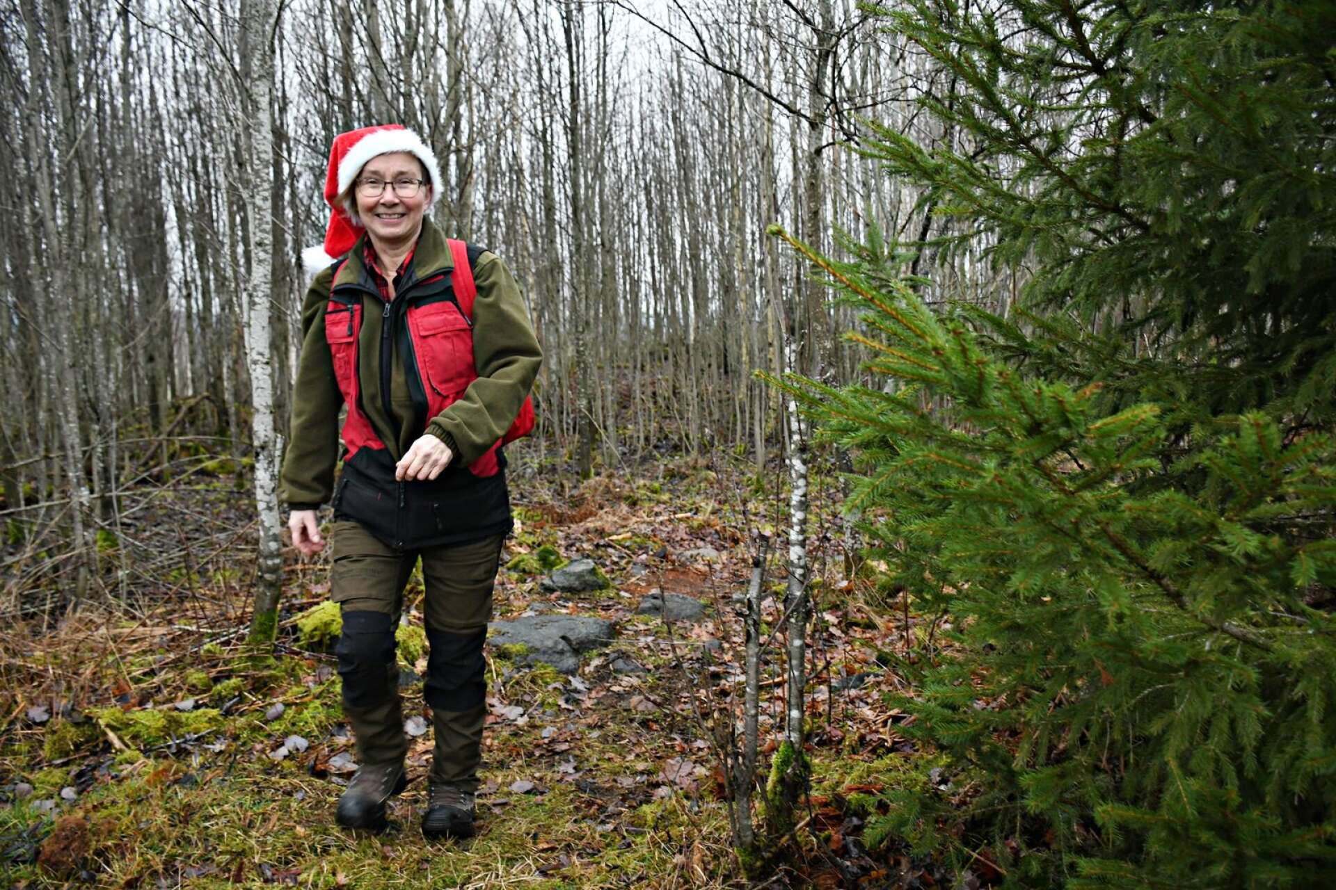 En tomteluva värmer skönt i skogen den här tiden på året, då det faktiskt fortfarande går att vandra, vilket Marita Persson, vandringsansvarig inom Sunne kommun, gör regelbundet 