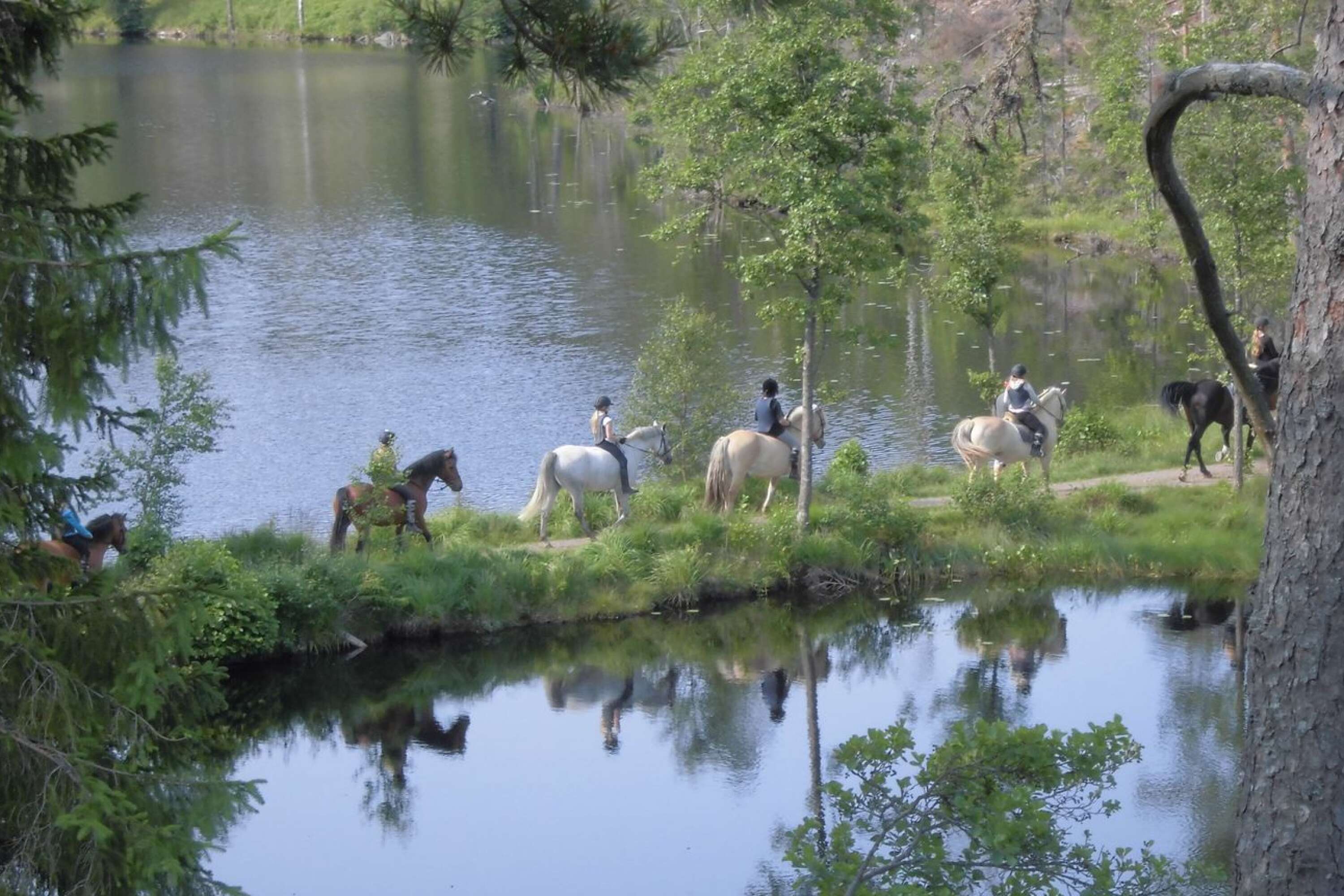 Hästtur i Årjäng