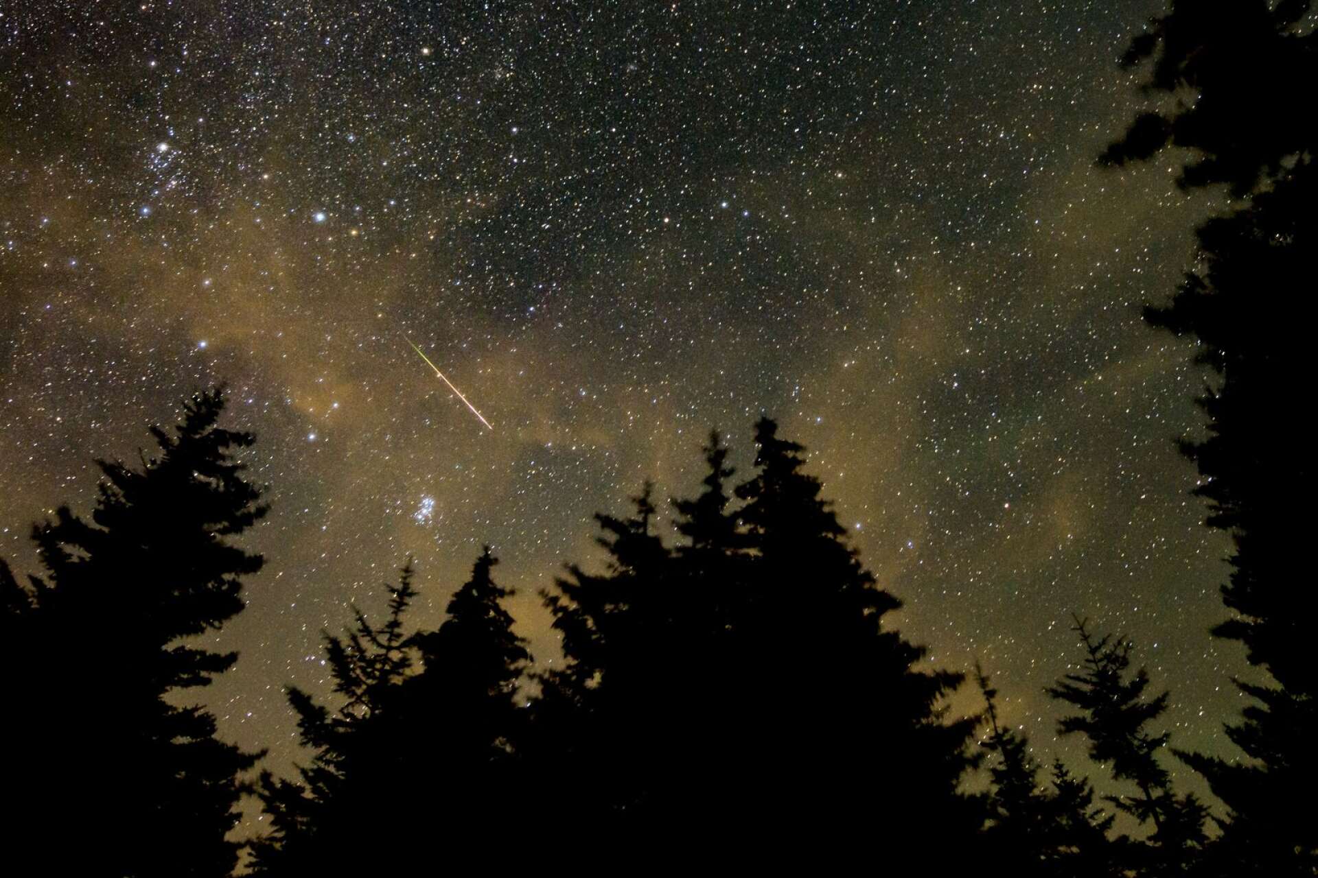 Under de senaste nätterna kommer man kunna se Perseiderna, ett meteorregn, över himlavalvet.