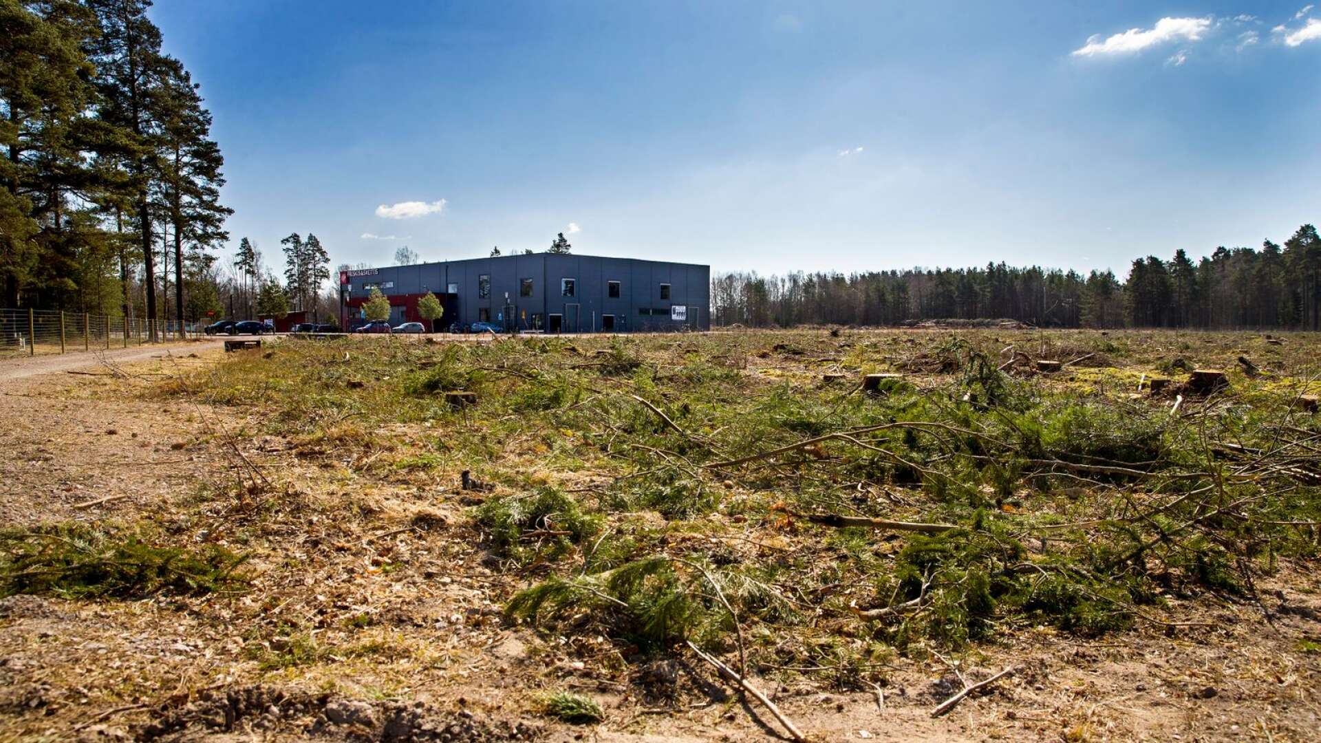 Skogen är fälld på Sannafältet där tre av Karlstads fyra nya idrottsarenor ska byggas. Senare i år ska företagen få möjlighet att köpa arenanamnen.