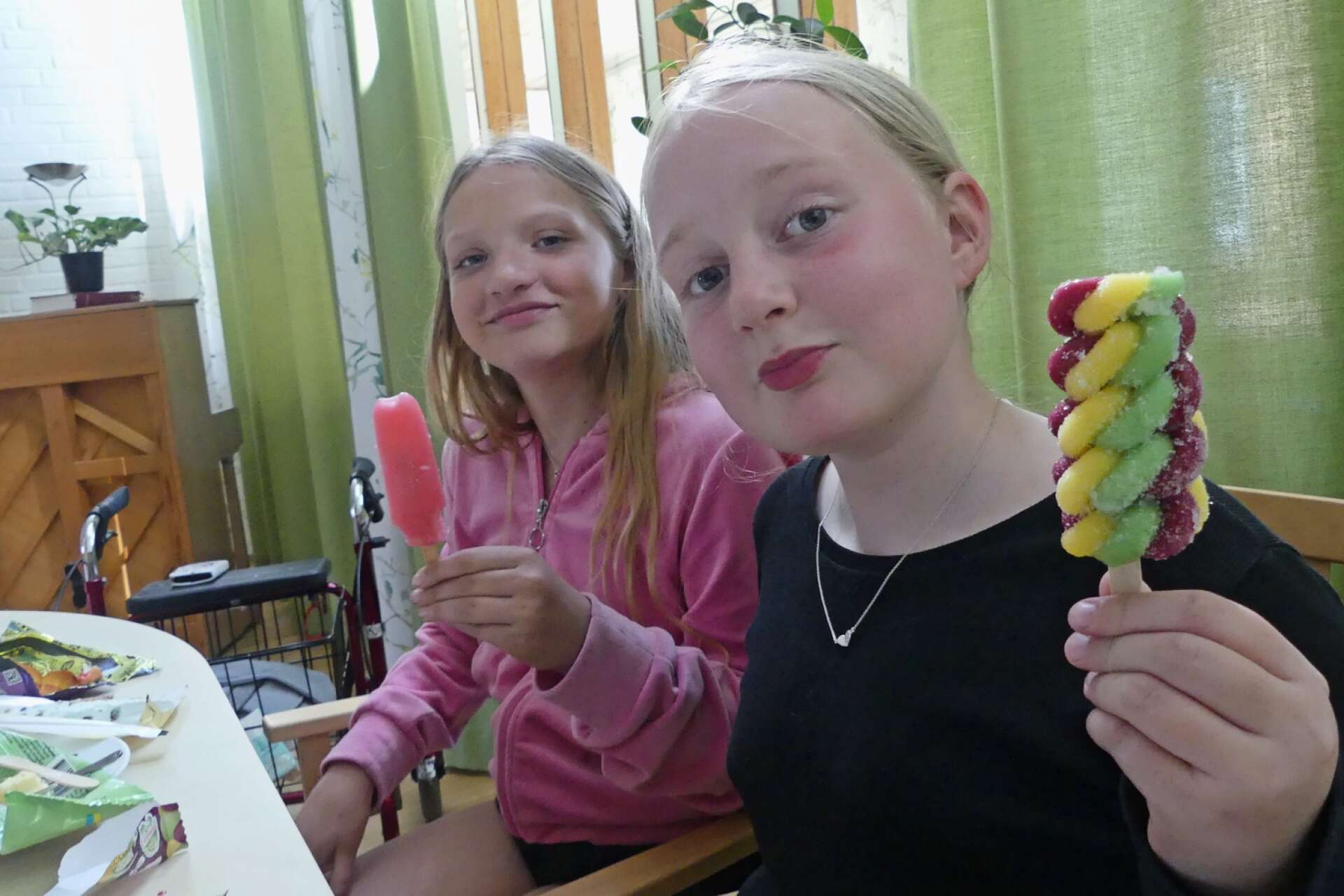 Freja Norberg och Wilma Karlsson fattade tycke för isglassarna. 