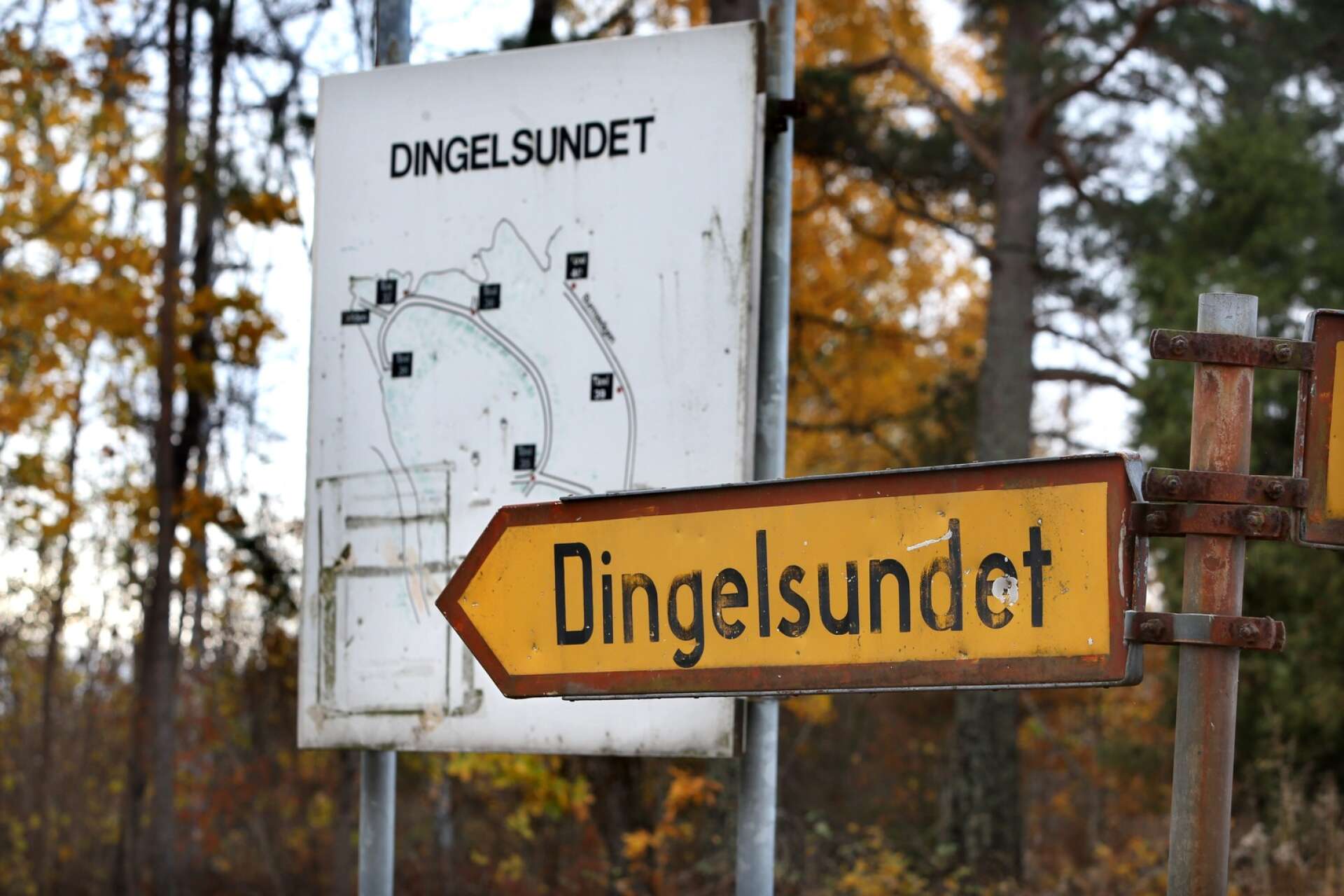 Länsstyrelsen anser inte att Karlstads kommun kan upphäva strandskyddet och omvandla naturmark till tomtmark vid ett antal privatbostäder på Södra Dingelsundet. Nu ska regeringen avgöra ärendet. 