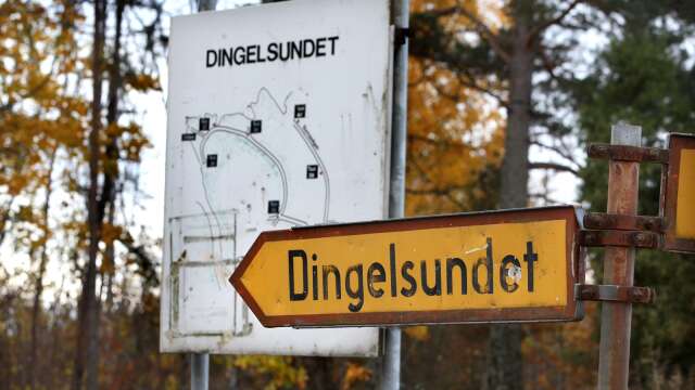 Värmlands dyraste område att köpa bostad på är Dingelsundet, enligt ny statistik från Fastighetsbyrån.