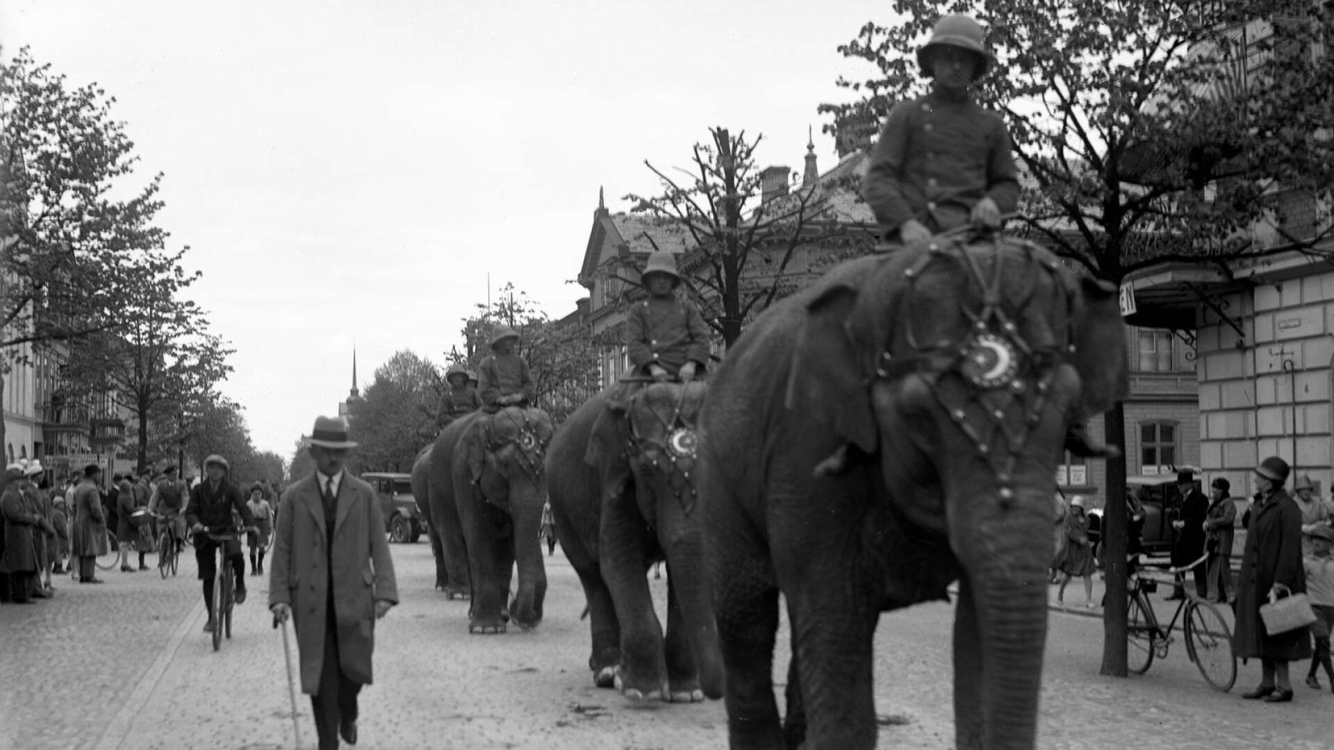 Även i modern tid är det verkligen inte varje dag det går att se elefanter på Karlstads gator.