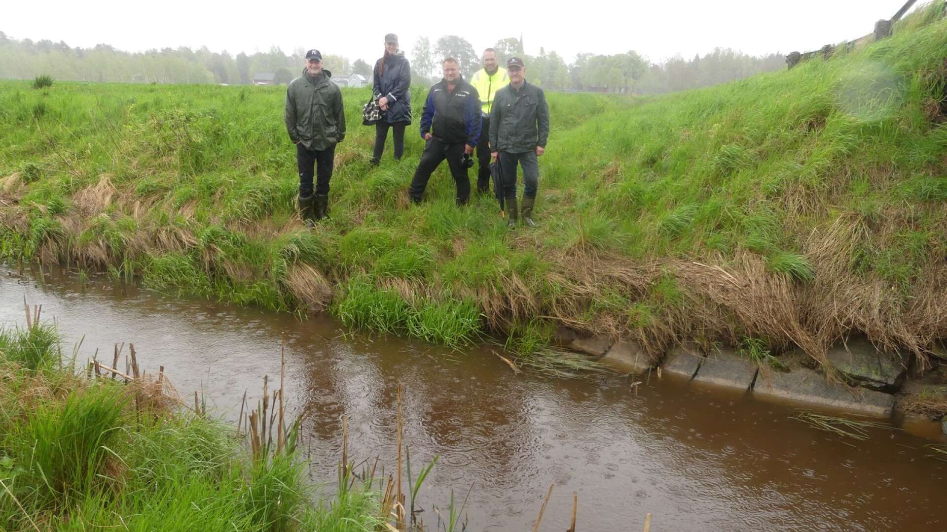 Vattendirektiven oroar lantbrukarna. På bilden vid Averstadån syns från vänster Daniel Bäckström, Kajsa Edbom, Håkan Thörner, Mikael Johansson och Dag Rogne.