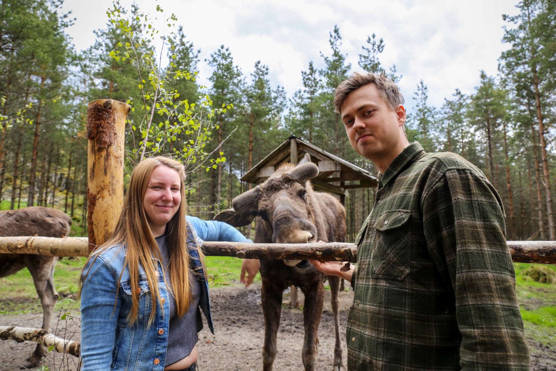 Paret och kollegorna Julie Bloch Jensen och Noak Mossberg Thelander möter sommarens turister med en massa nyheter på Dalslands Moose Ranch. 