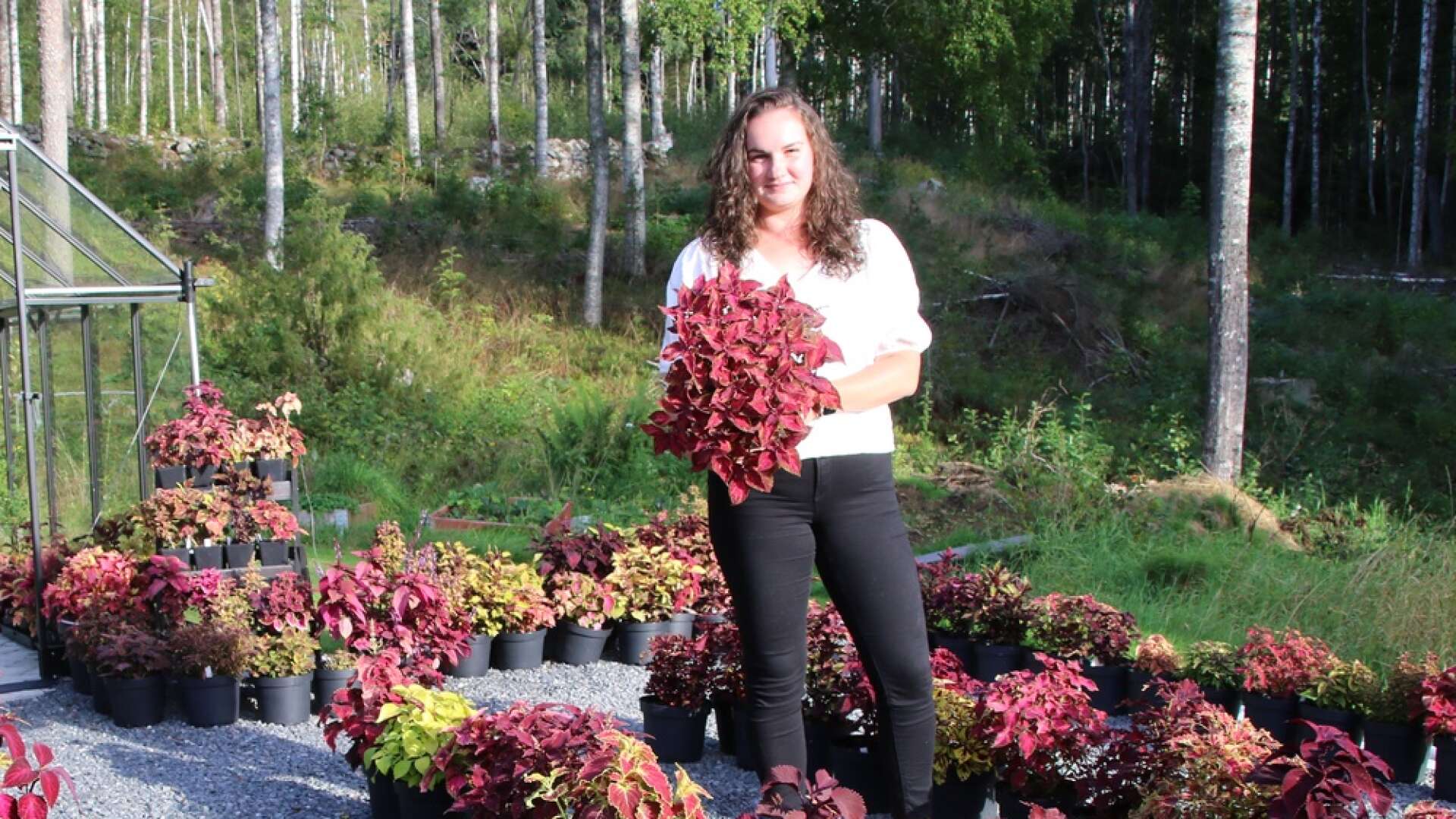 På lördag, strax före lunchtid, bjuder Laura Hoffmann in besökare till en öppen palettbladsträdgård hemma i Nordmark. Besökarna kommer att få se många olika palettbladsväxter och sticklingar.