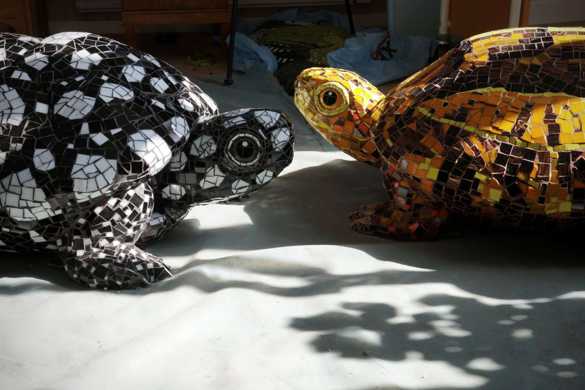 ”Det blir ett härligt ljusspel och när man går runt djuren så glimrar de som diamanter”, säger Ellen Ljungqvists om sina mosaiksköldpaddor.